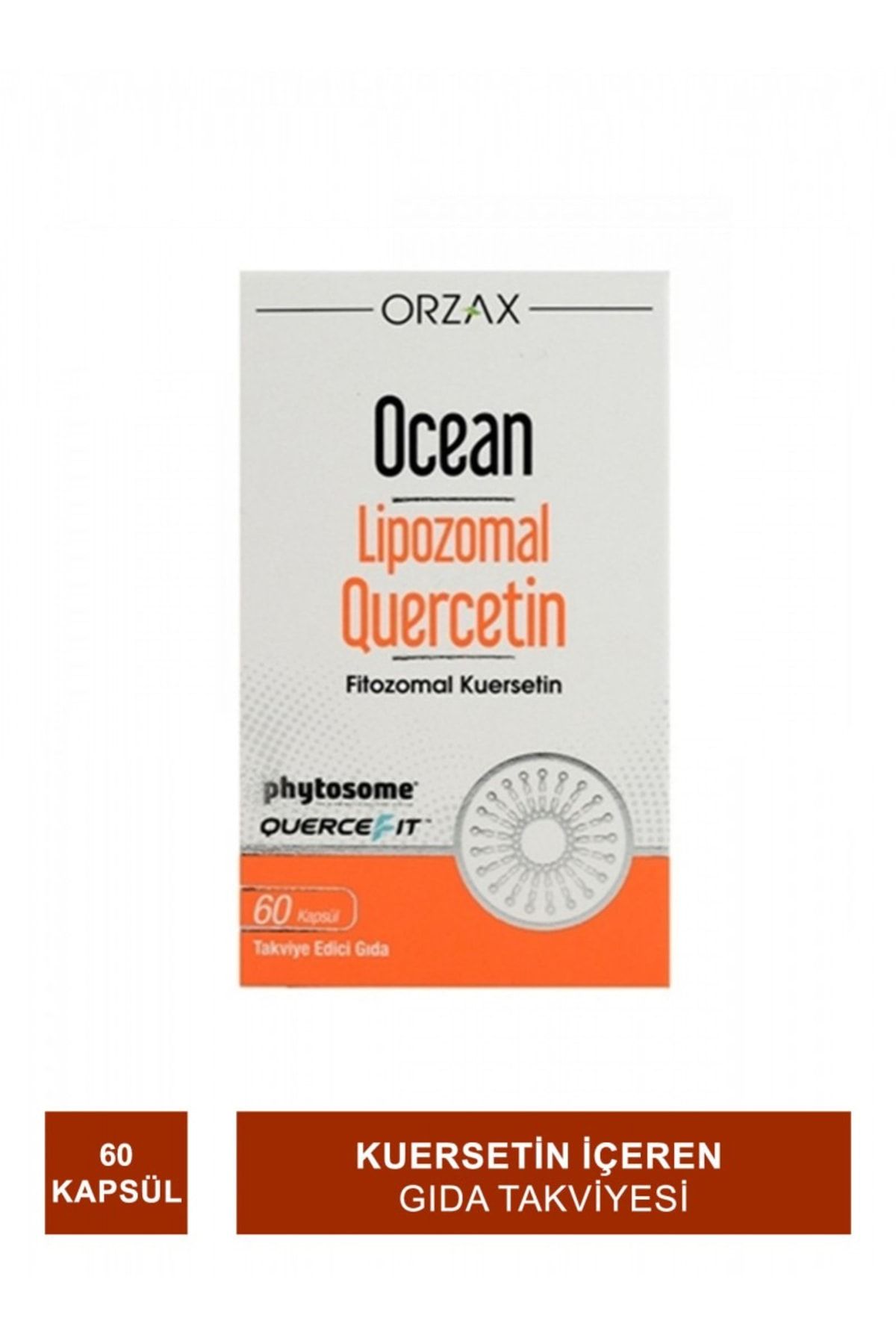 Ocean Lipozomal Quercetin 100 Mg 60 Kapsül