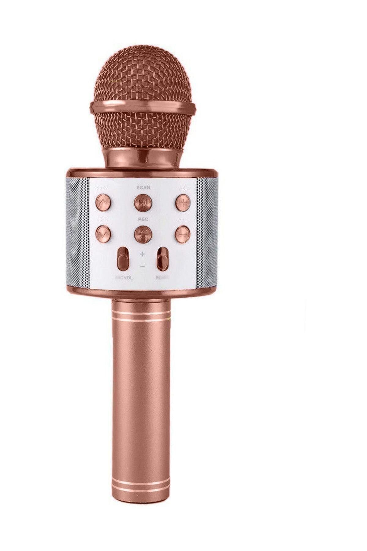 NoTech Altın Bluetooth Usb Hafıza Kartı ve Aux Girişli Ws 858 Karaoke Mikrofon