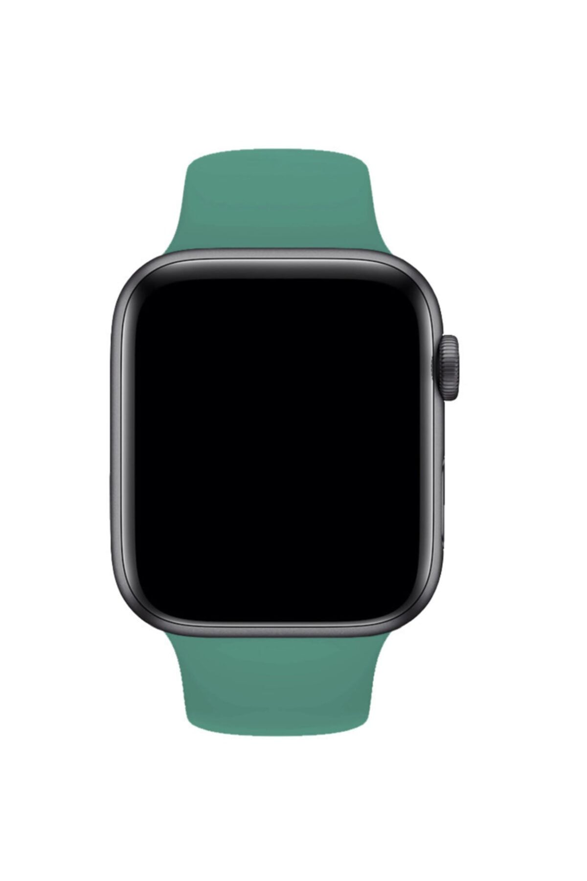 Fuchsia Apple Watch Uyumlu 38 - 40 mm S/M Ölçülerinde Kaktüs Yeşil Spor Kordon