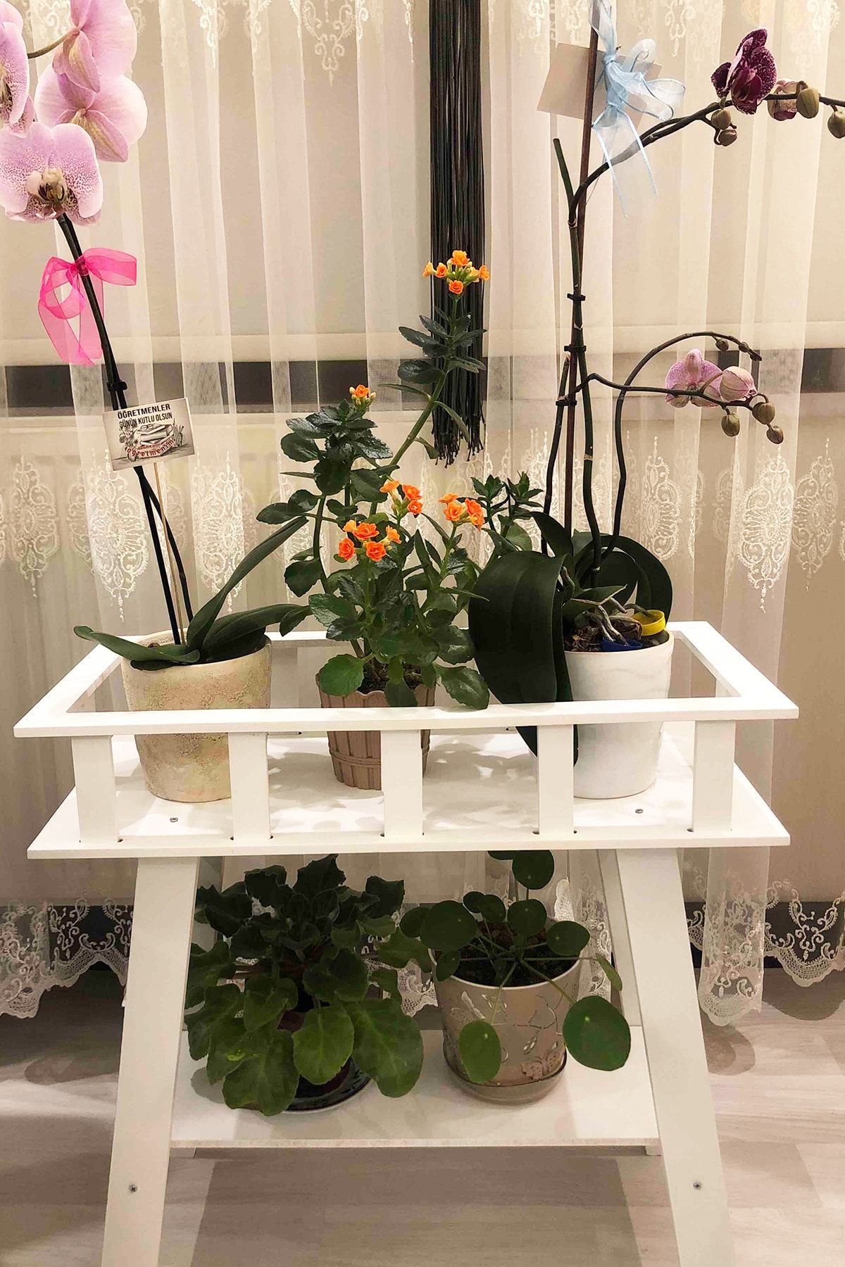 PenaHome Modern Çiçeklik Sehpa Çiçeklik Beyaz Ahşap Çiçeklik