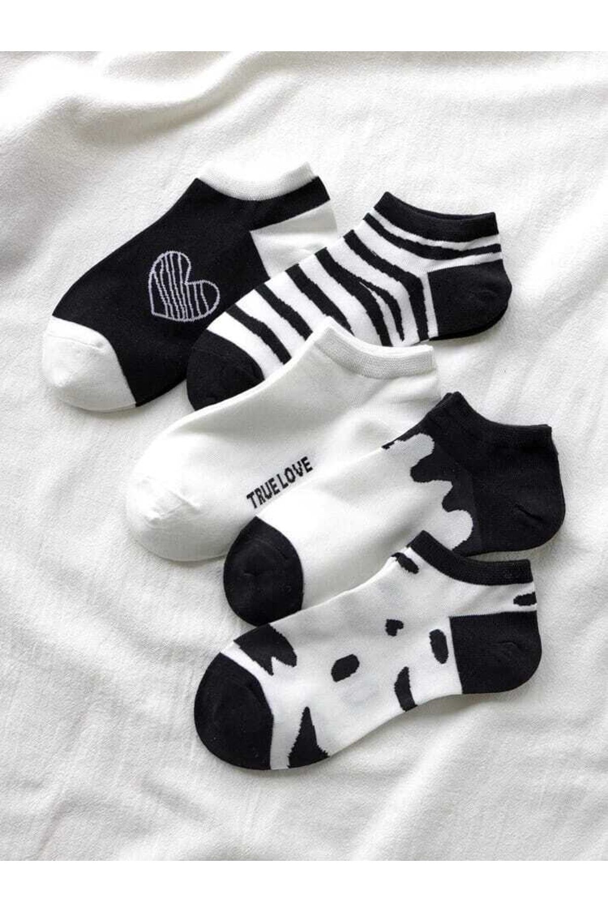 BGK Kadın Siyah Desenli 5 Çift Patik Çorap
