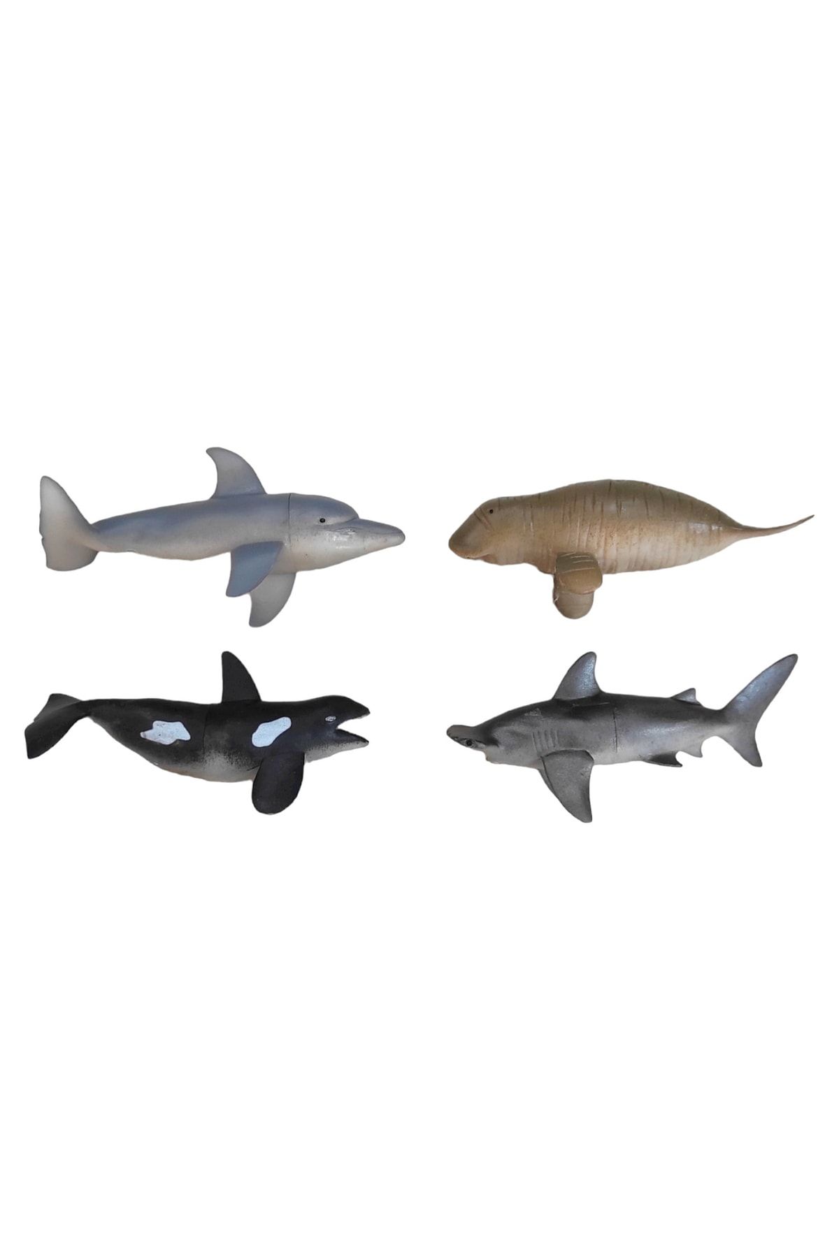 Brother Toys Büyük Boy Özel Seri 4'lü Okyanus Hayvan Seti Yunus, Fok, Balina, Çekiç Başlı Köpekbalığı