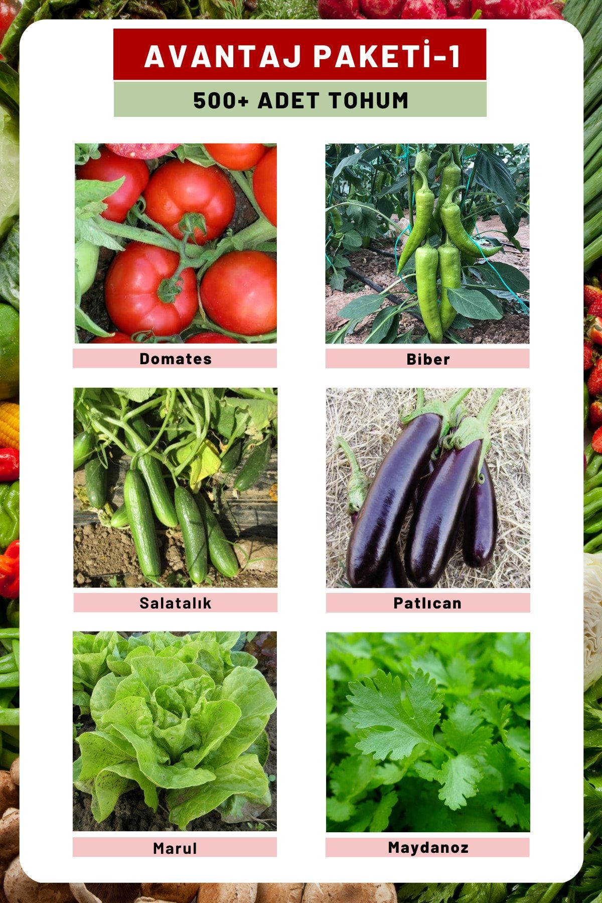 Tohum Seç Avantaj Paketi-1 Domates, Biber, Hıyar, Patlıcan, Maydanoz, Marul Tohumları, Toplam 300 Adet Tohum