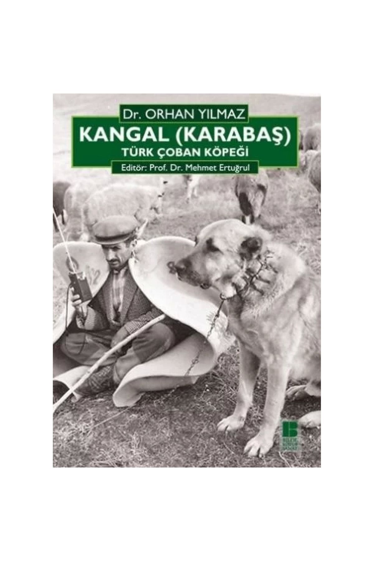 Bilge Kültür Sanat Kangal (karabaş) Türk Çoban Köpeği  Orhan Yılmaz