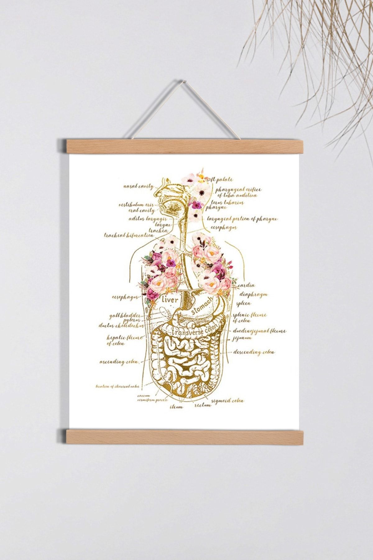 Dekor Loft Insan Vücudu Anatomisi Sanatı, Insan Organları Posteri, Tıbbi Tablo, Doktor Ofis Dekoru