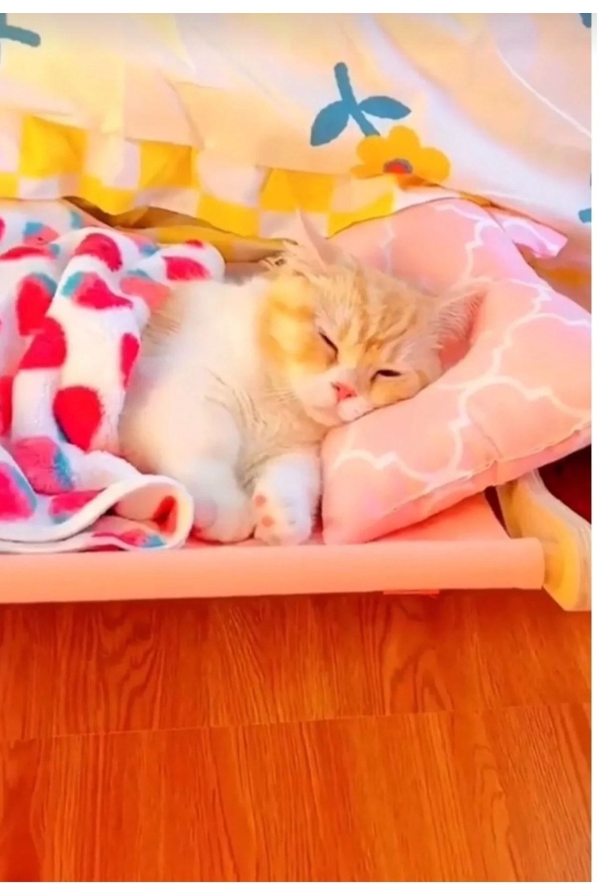 Genel Markalar Kedi Dinlenme Hamağı Ayarlanabilir Özel Tasarım Kedi Yatağı