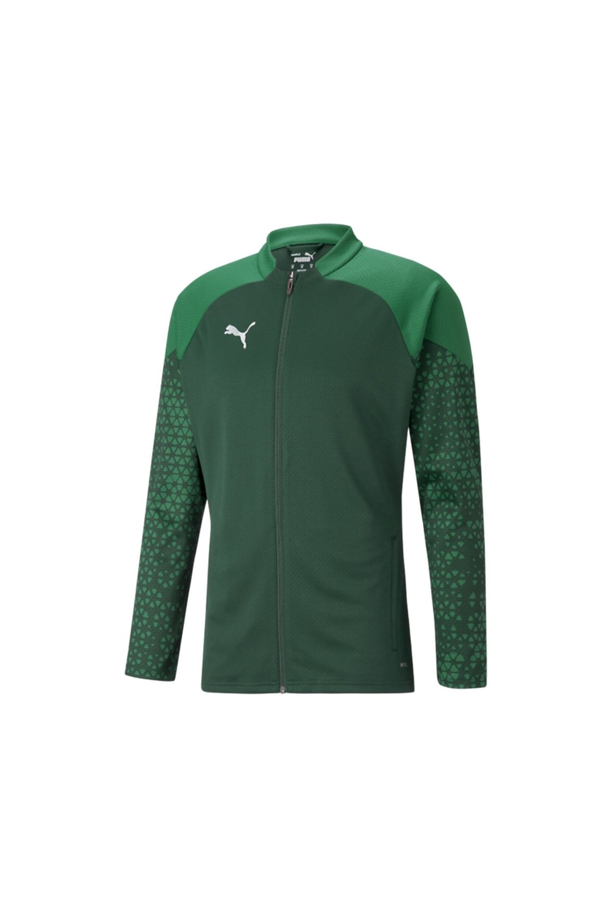 Puma Teamcup Training Jacket Erkek Futbol Antrenman Ceketi 65798305 Yeşil
