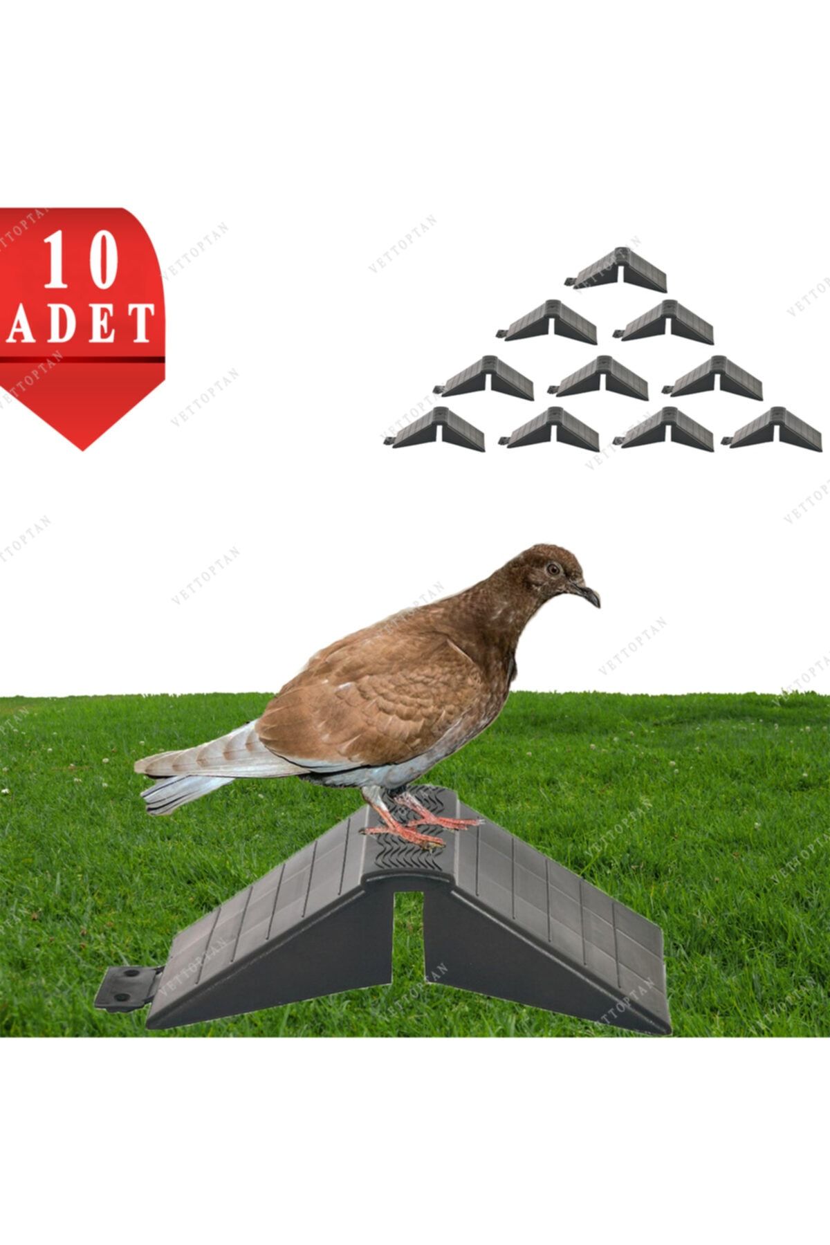 mutlu tavukçuluk Tünek Güvercin Bekar Tüneği 10 Adet Plastik Kuş Pigeon Yuva Taklacı Hünkari Balon Hatay Güvercini