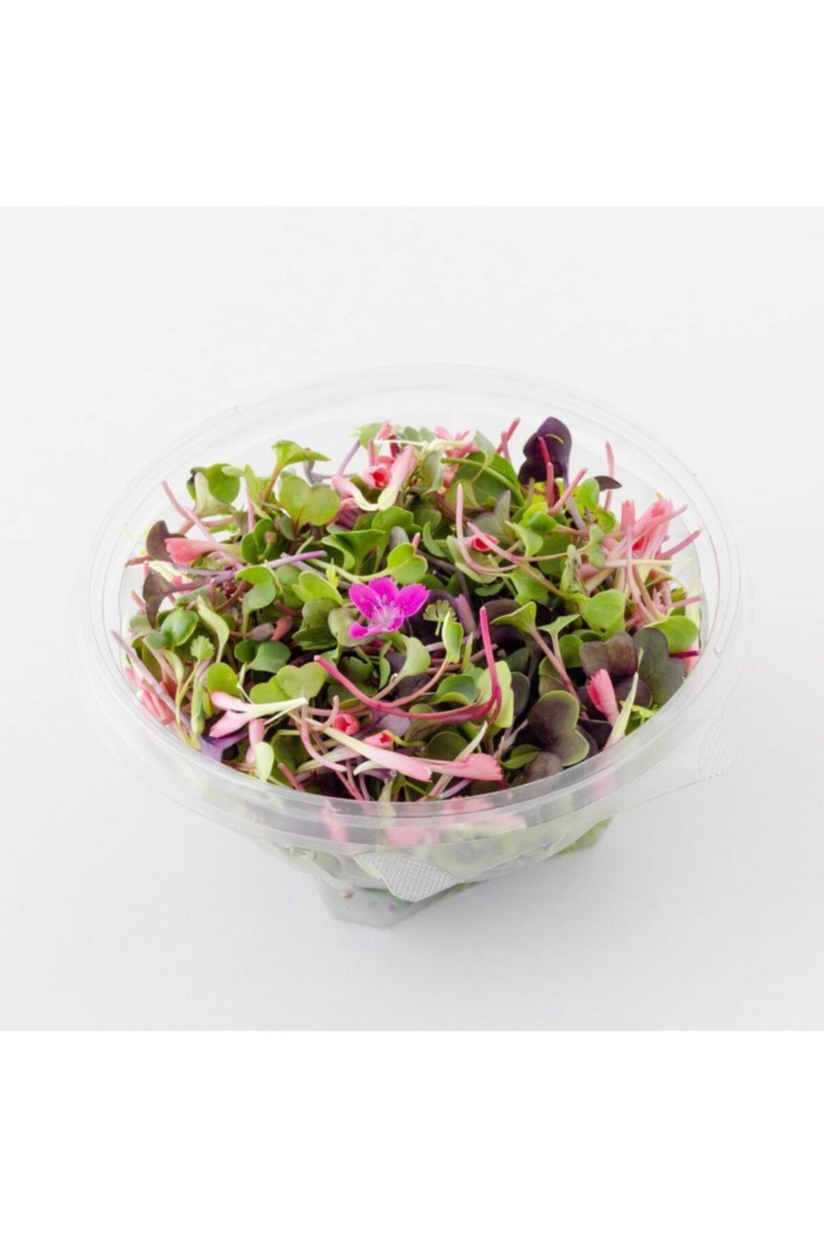 Mimi Çiftliği Yemeye Hazır Filiz Salatası - Fit Salata