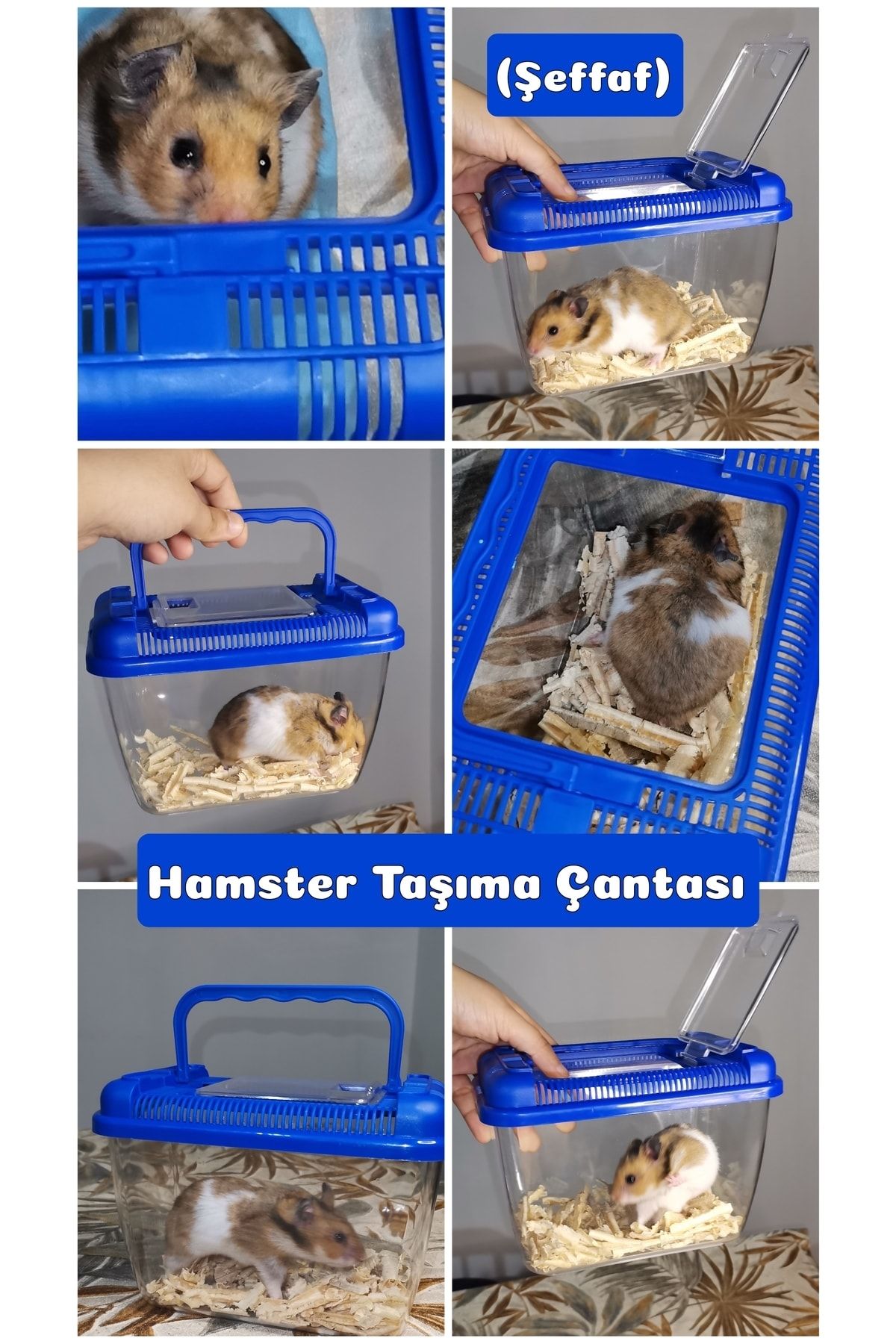 MDİZMİR Gonzales Hamster Taşıma Çantası ( Şeffaf ) Karışık Renkte Gönderilir