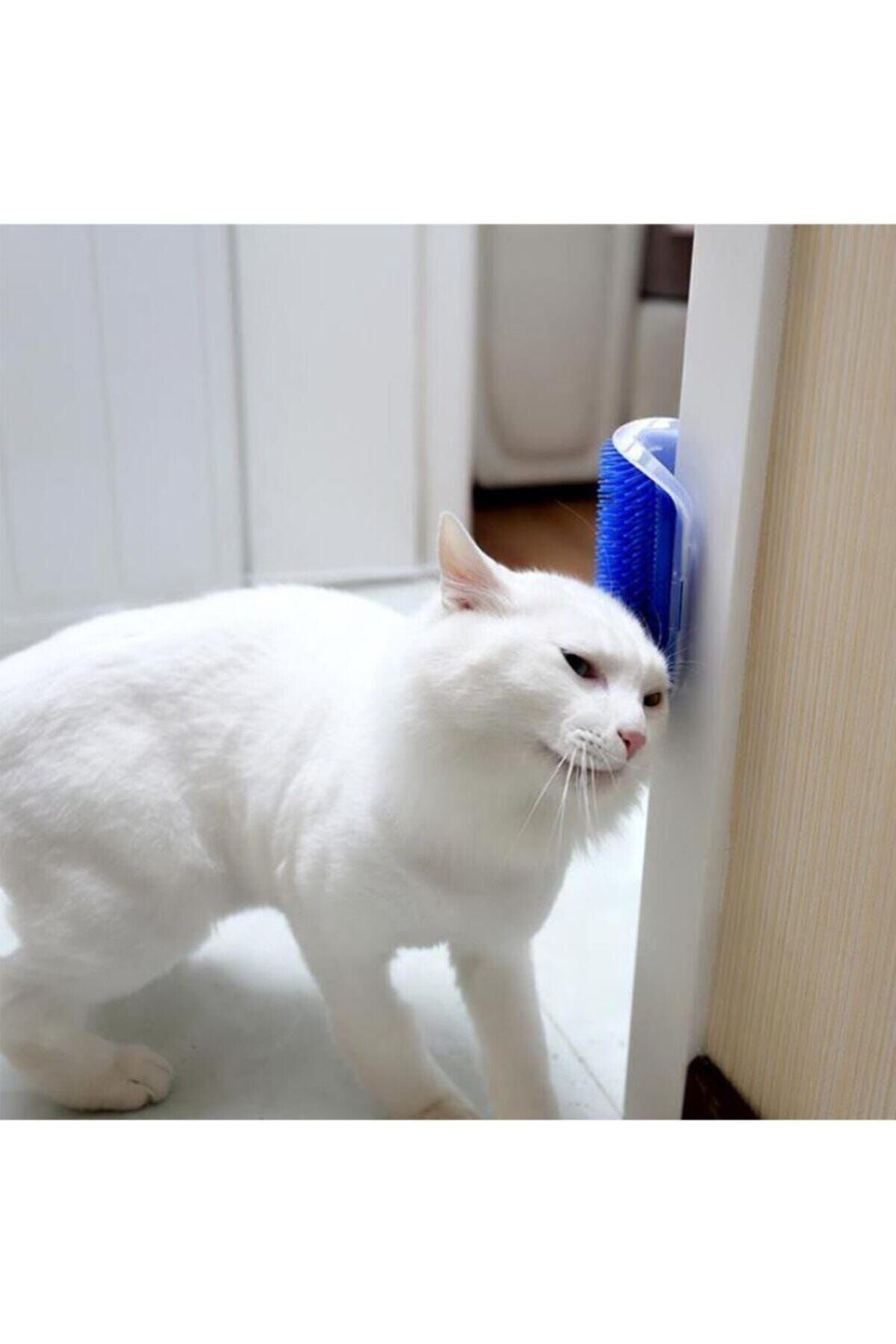 DecoTown Pratik Kedi Tüyü Kaşıma Ve Tarama Aparatı Duvara Monte Kaşıma Aleti