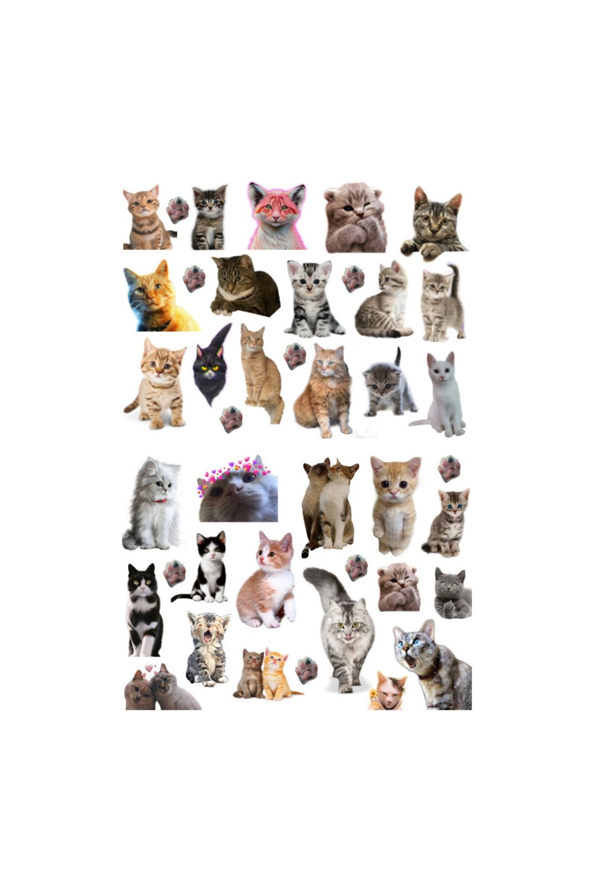 Ororabutik 41'li Kedi, Kitty, Fairycore, Sevimli Hayvanlar Sticker Etiket Seti