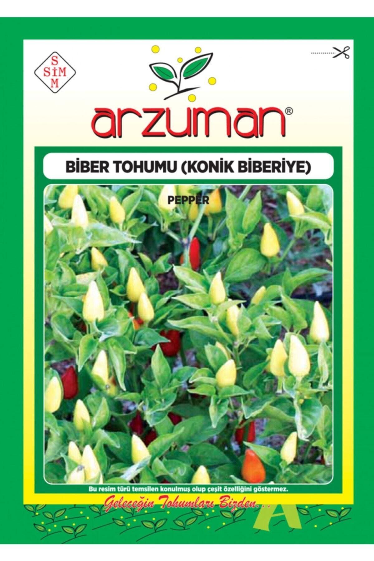 Arzuman Tohum Biberiye (konik) Tohumu - 5 Gr