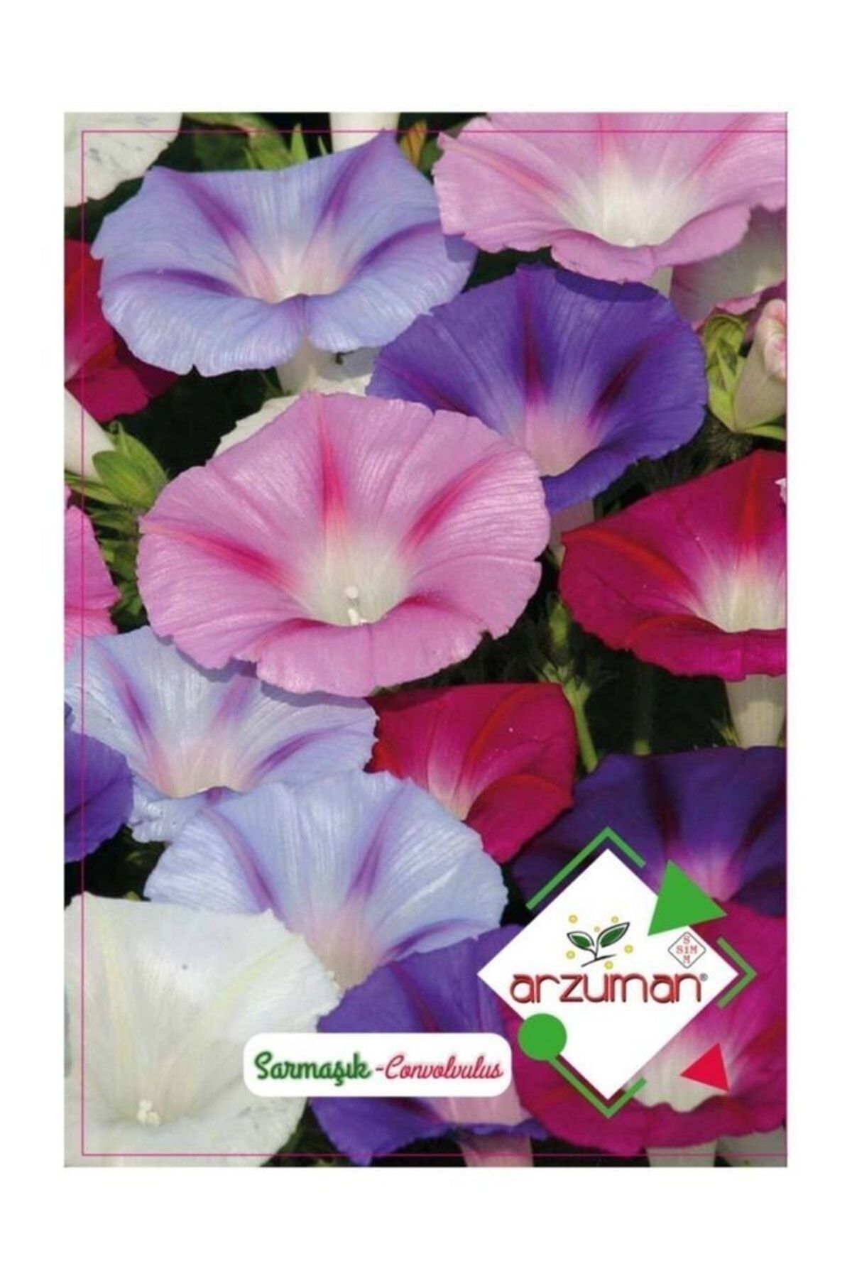 Arzuman Tohum Sarmaşık Çiçeği Tohumu 50 Adet