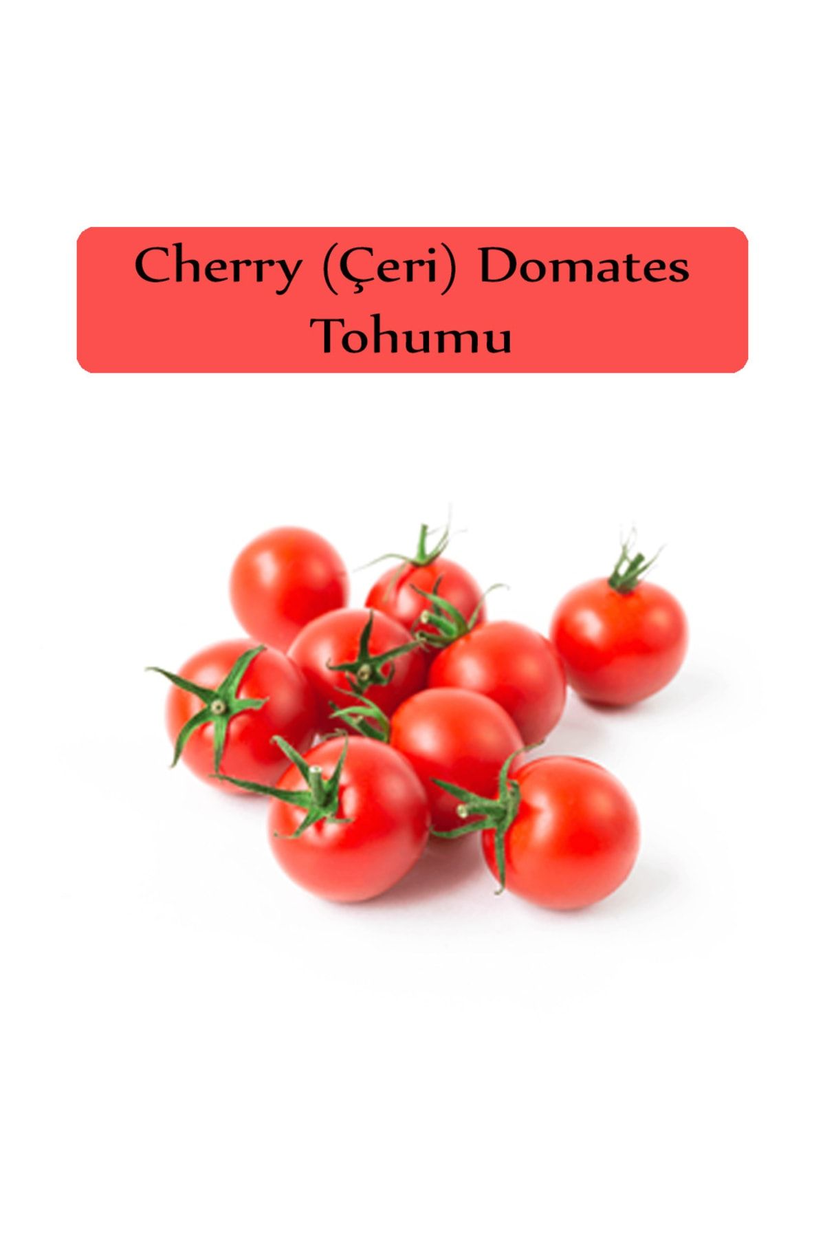 Zencefil Organik Çeri Domates Tohumu 1 Paket Cherry Domates Salkım Domates Tohumu Kapalı Paket Yüksek Verimli Tohum