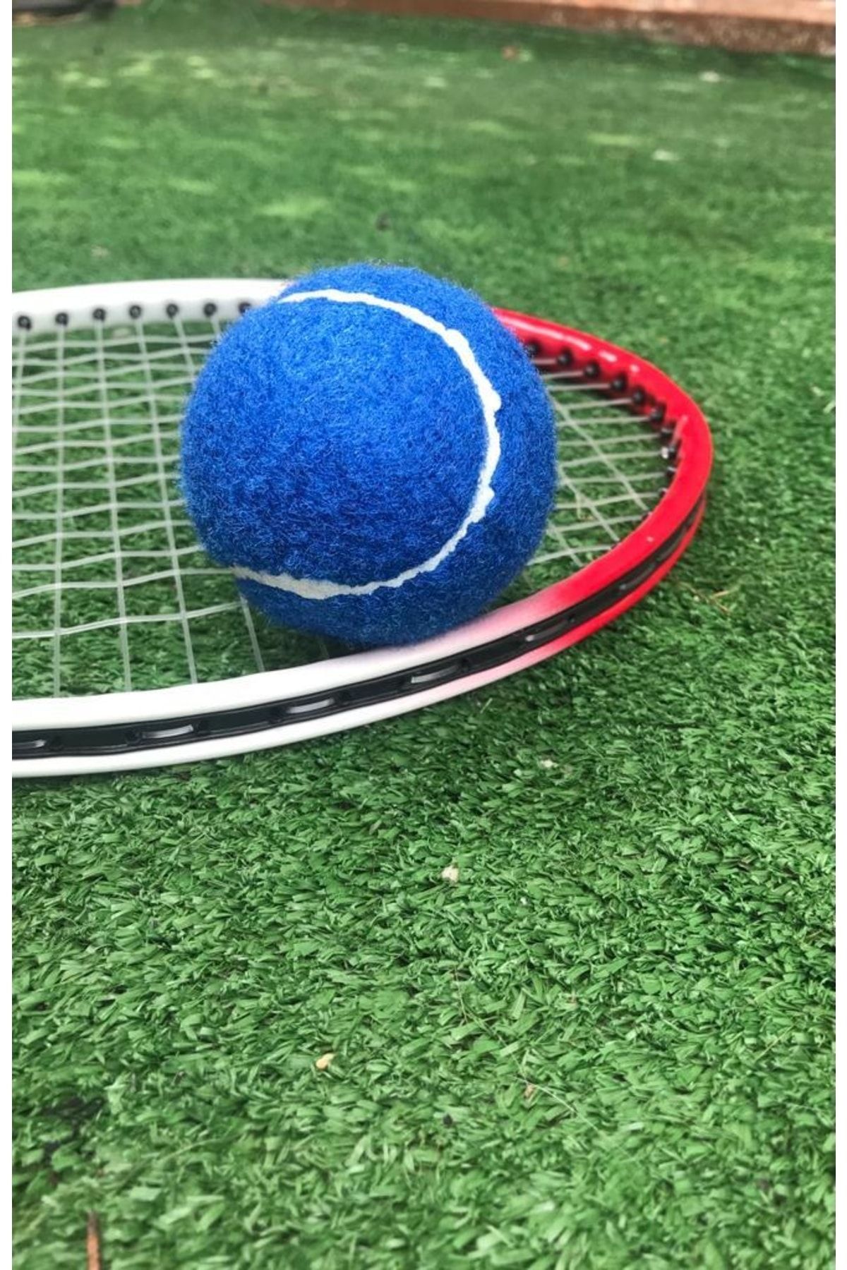 Buffer 1 Adet Antrenman Tenis Topu Mavi