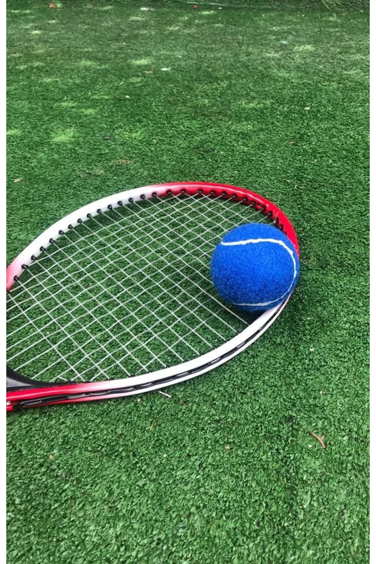 Buffer 2 Adet Antrenman Tenis Topu Mavi