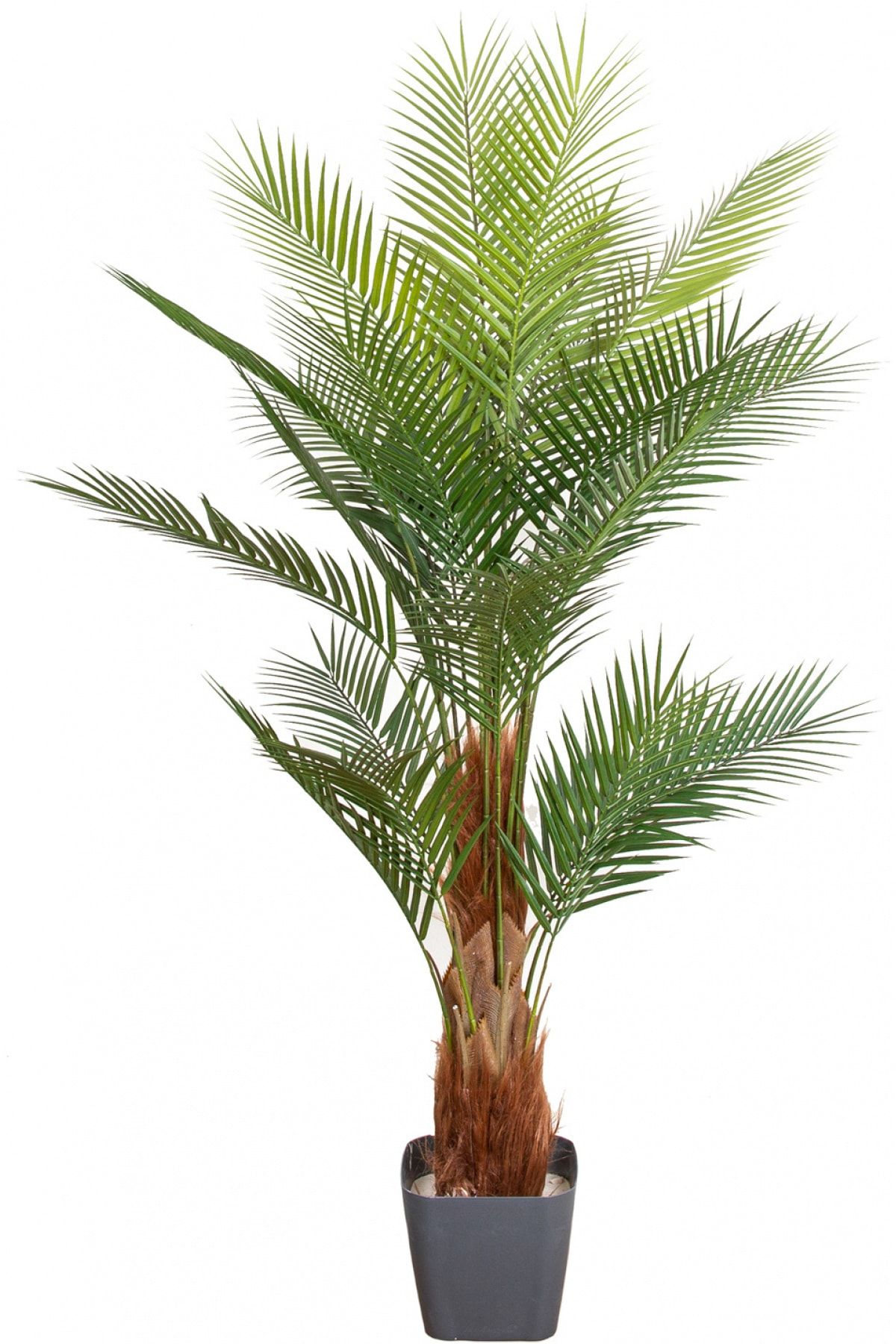 Herdekora Yapay Palmiye Ağacı 24 Yapraklı Yeşil 160 Cm.