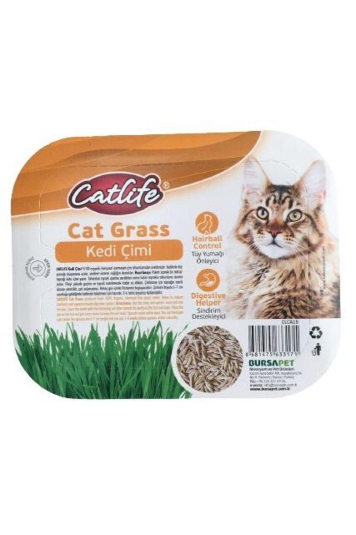 Catlife Cat Grass Kedi Çimi