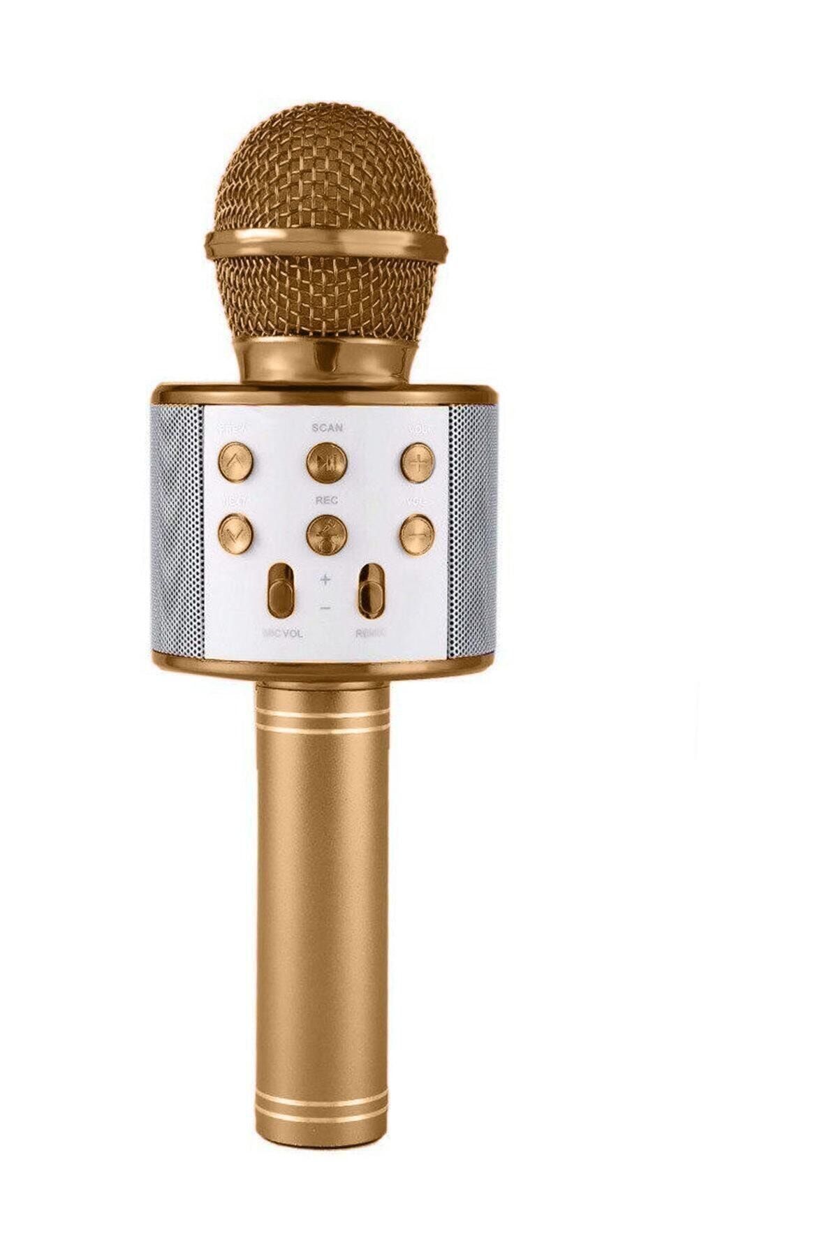 NoTech Karaoke Bluetooth Usb Hafıza Kartı ve Aux Girişli Mikrofon Ws-858