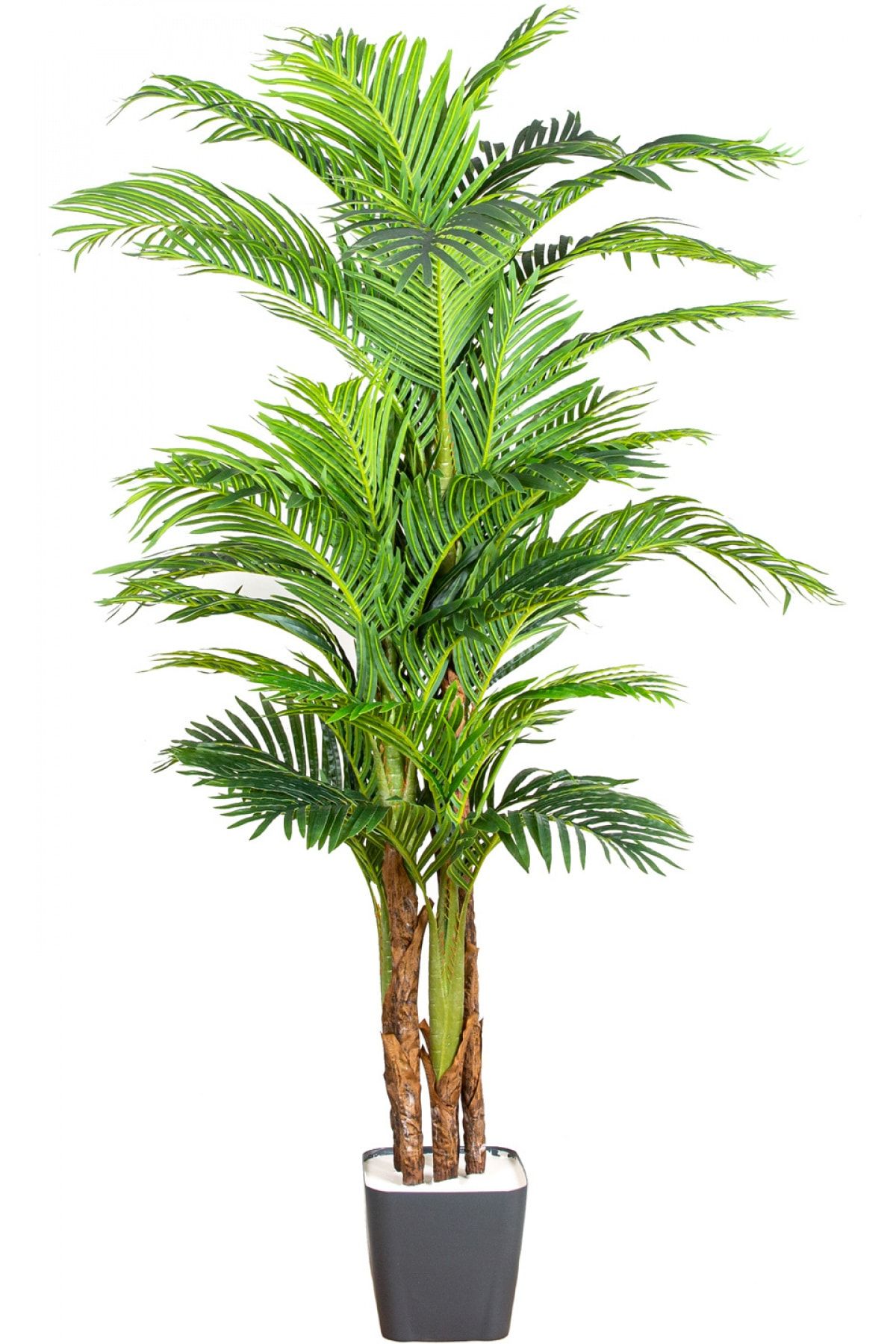 Herdekora Yapay Areka Palmiye Ağacı Gerçek Dokulu Yeşil 200 Cm.