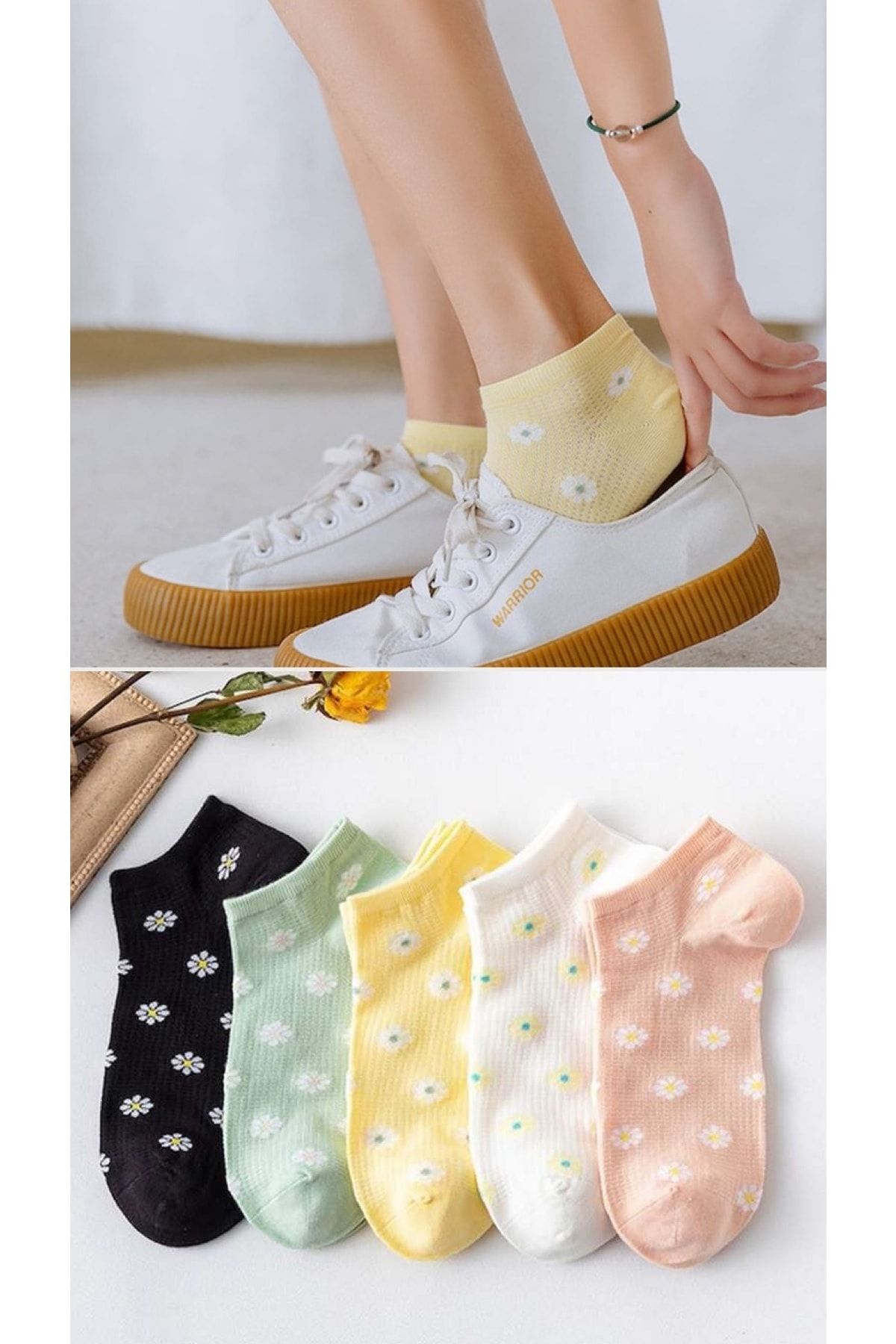 BGK Kadın Renkli Papatya Desenli Patik Çorap Seti