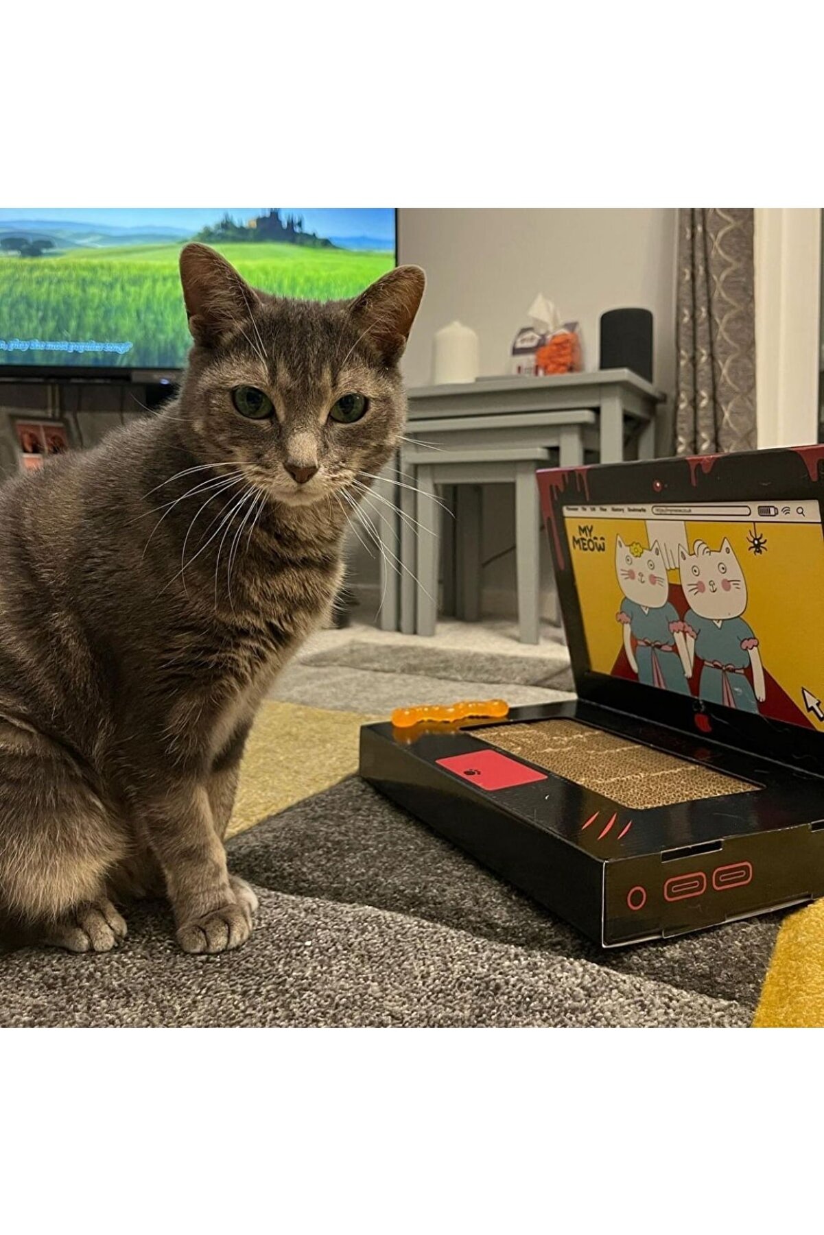 Kırmızı Desenli Miyav Kedi Oyun Tüneli Eğlenceleri