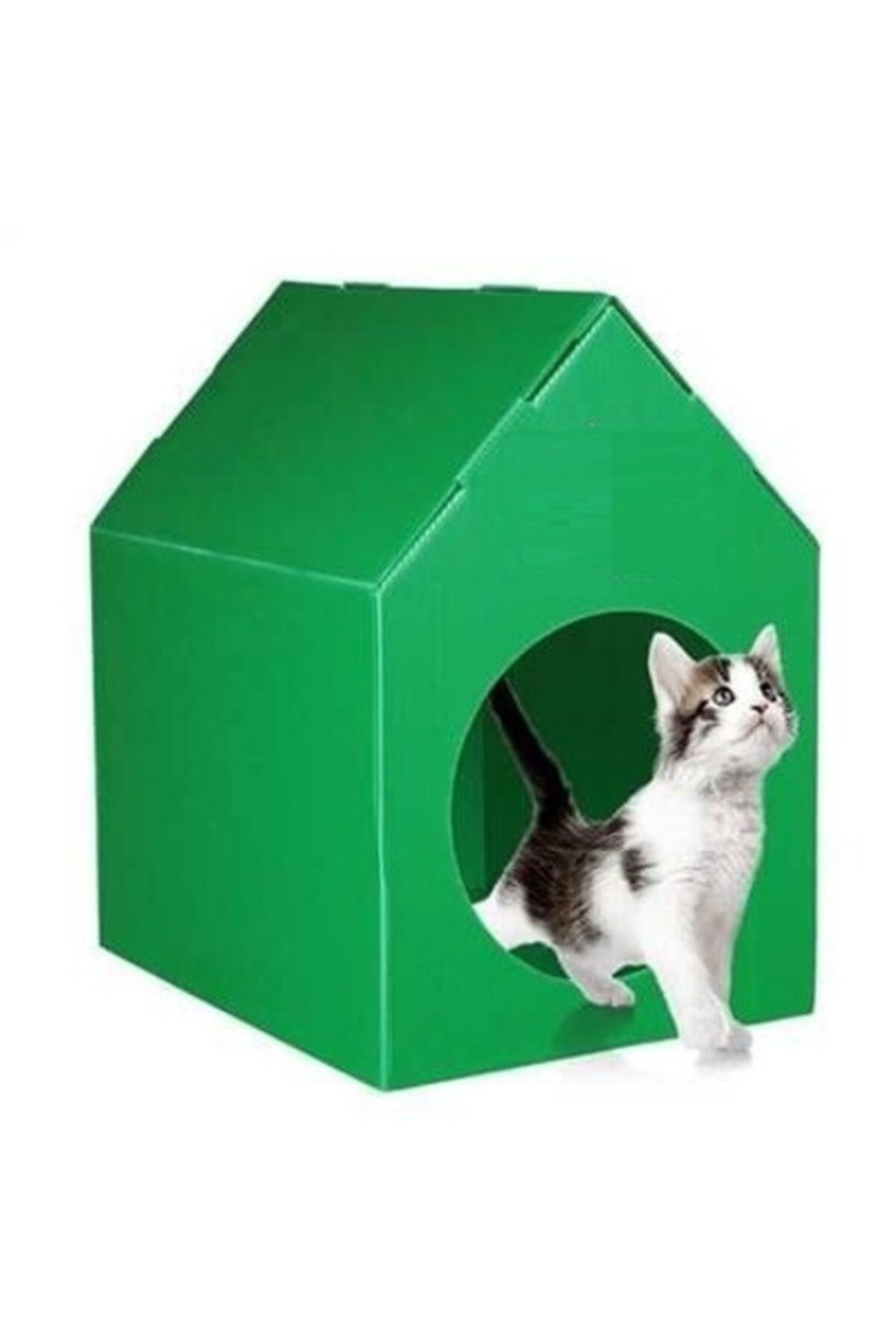 Bereks Plastik Kedi Evi Kedi Kulübesi Kedi Yuvası ( Yeşil )