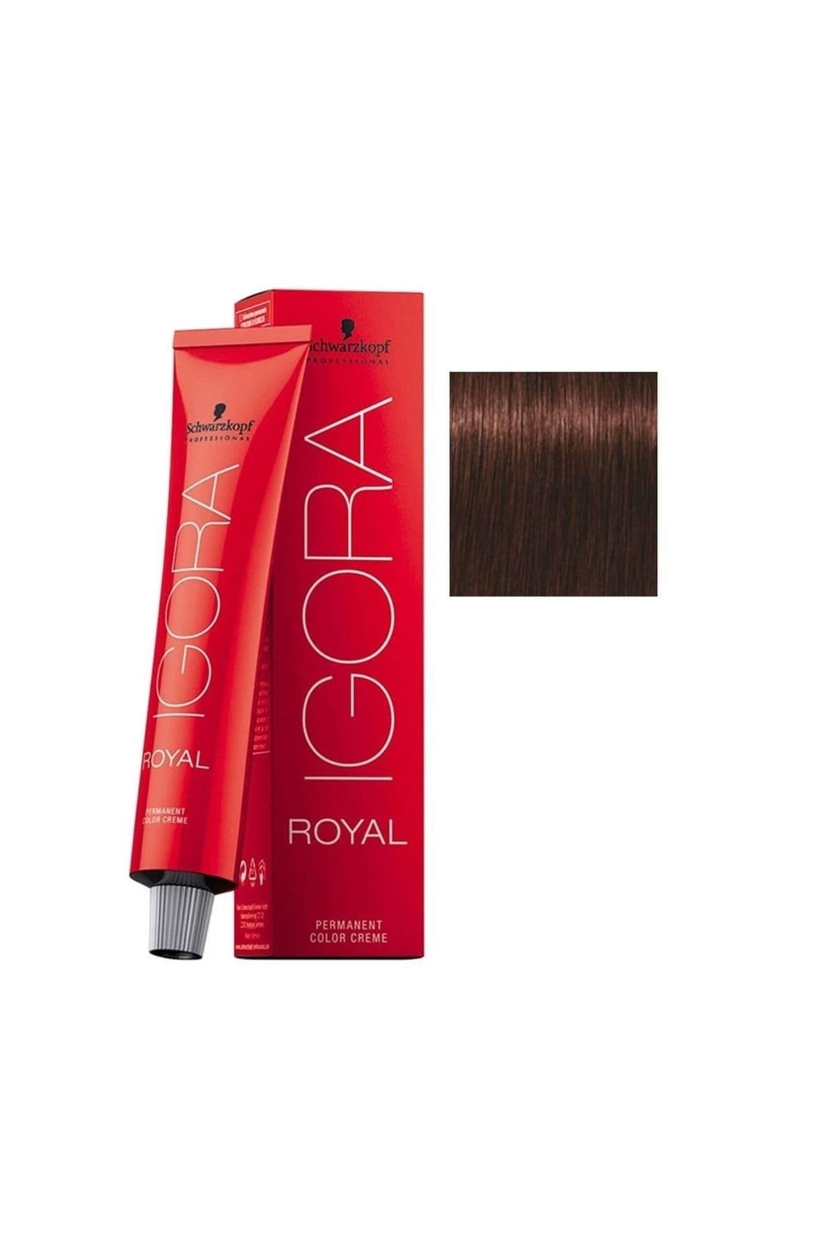 Igora 5 Adet Royal 4-68 Kahve-çikolata Kızıl Saç Boyası (orijinal)