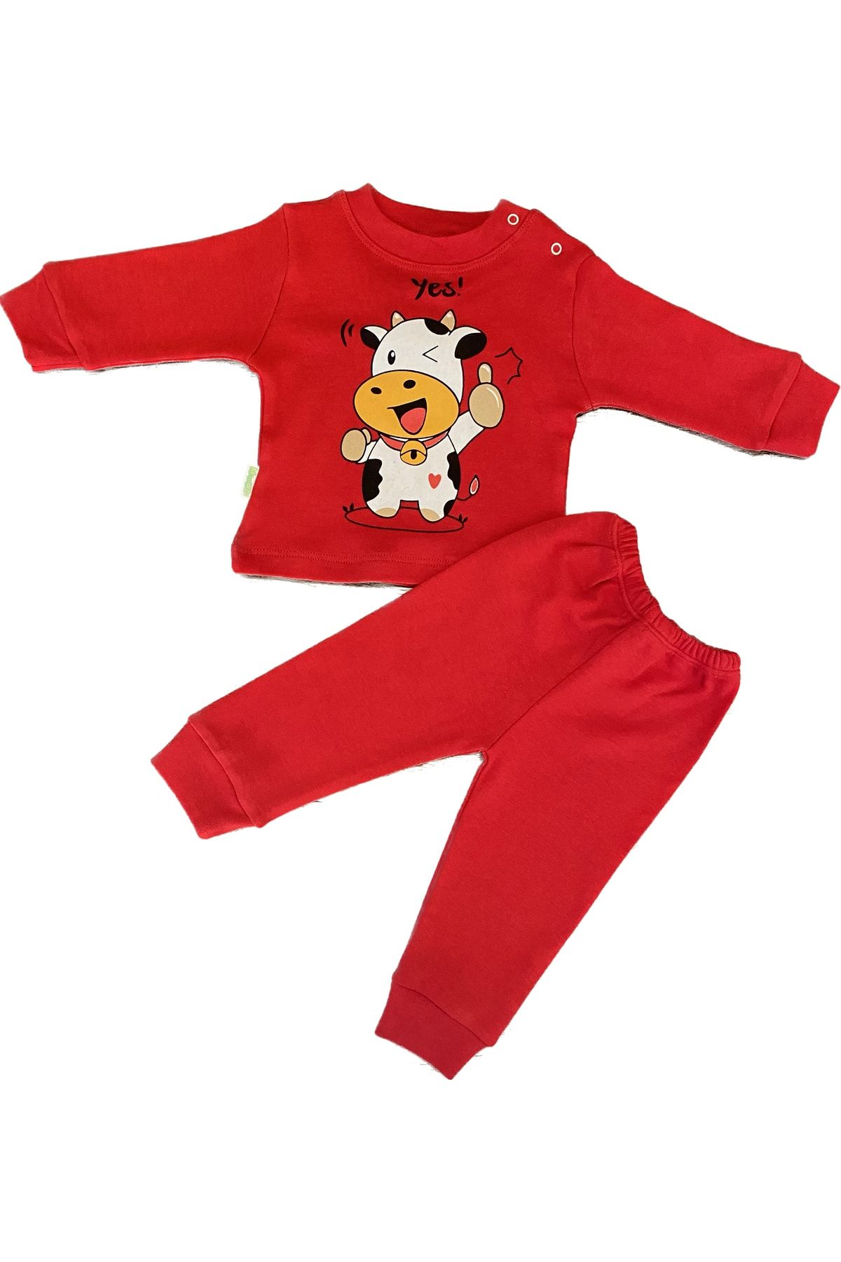 AryhoShe Inek Baskılı Bebek Pijama Takımı