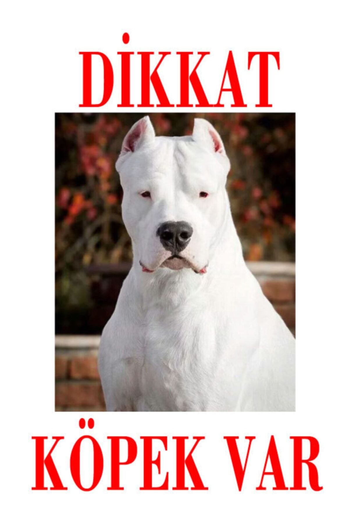 ECS DESİGN Dikkat Köpek Var Uyarı Levhası (dogo Argentino)