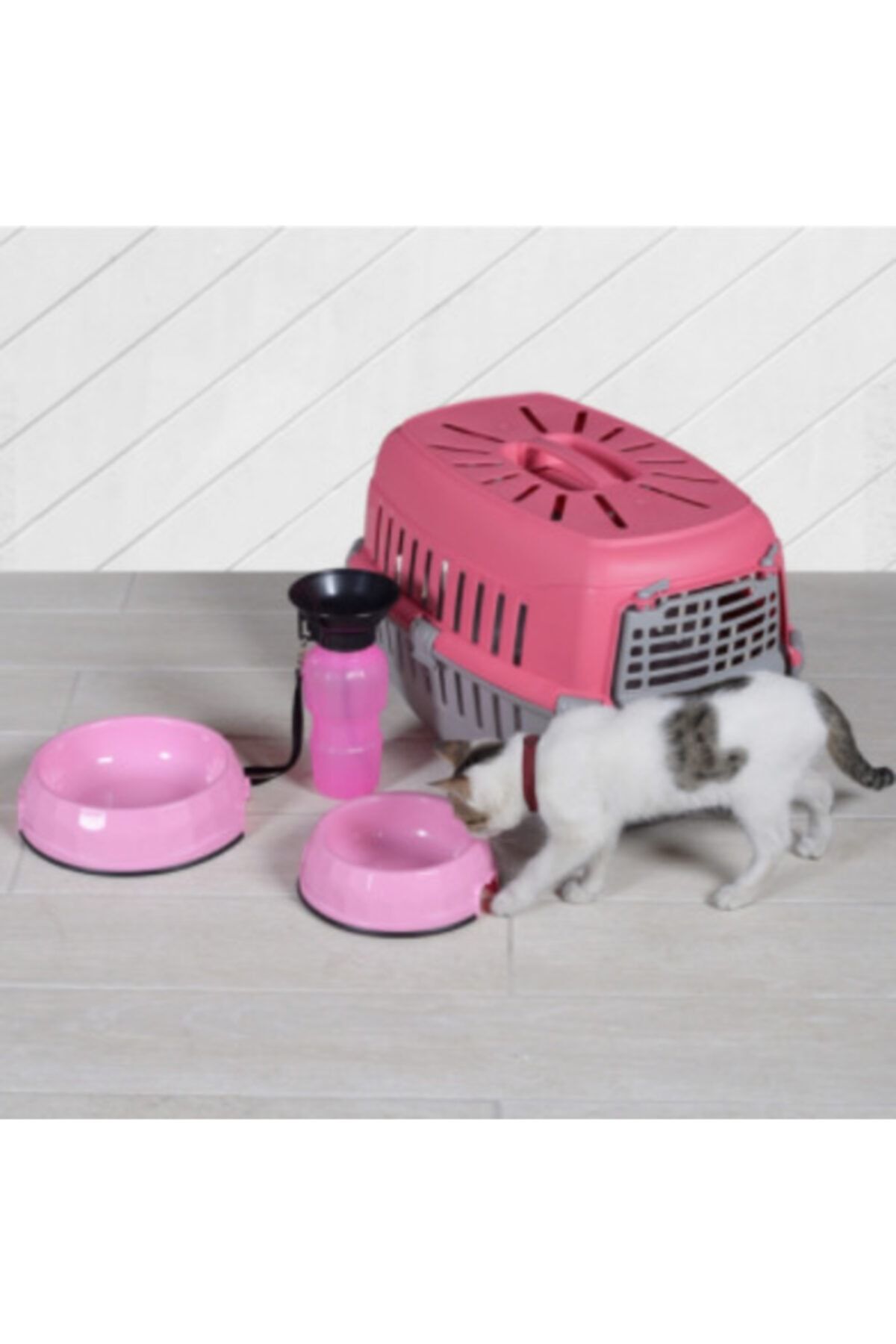 ARSPOLO Kedi Köpek Taşıma Çantası Mama Kabı Ve Suluk Pembe Takım