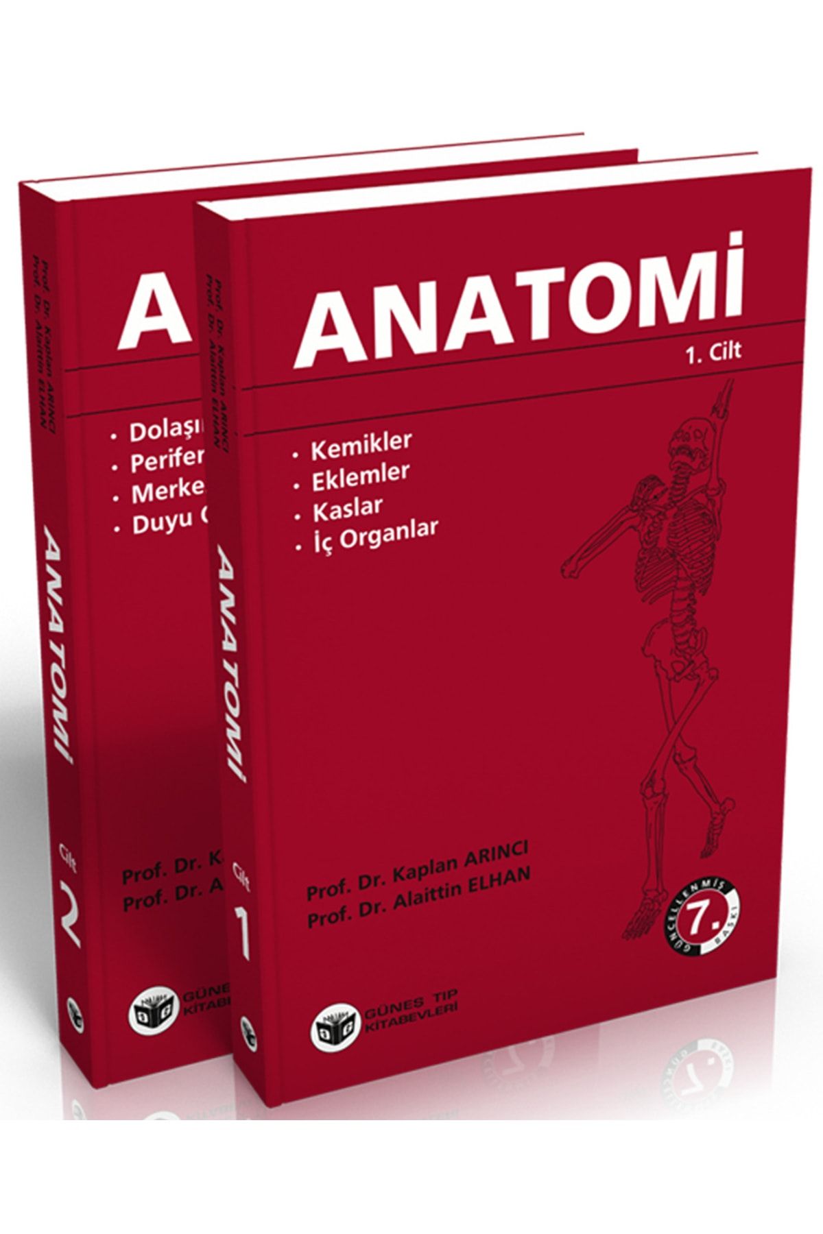 Güneş Tıp Kitabevleri Arıncı - Anatomi 1-2