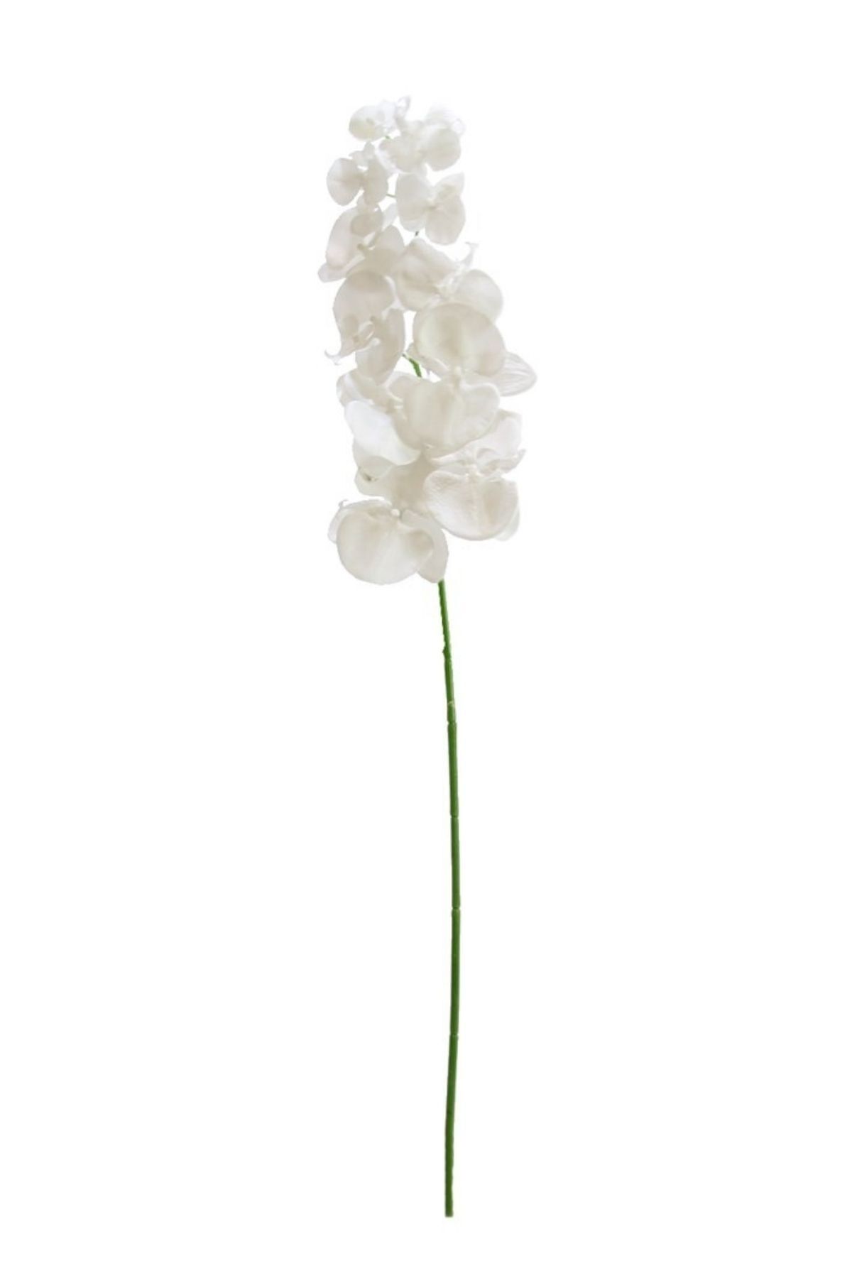 Dekorsende Yapay Orkide Beyaz