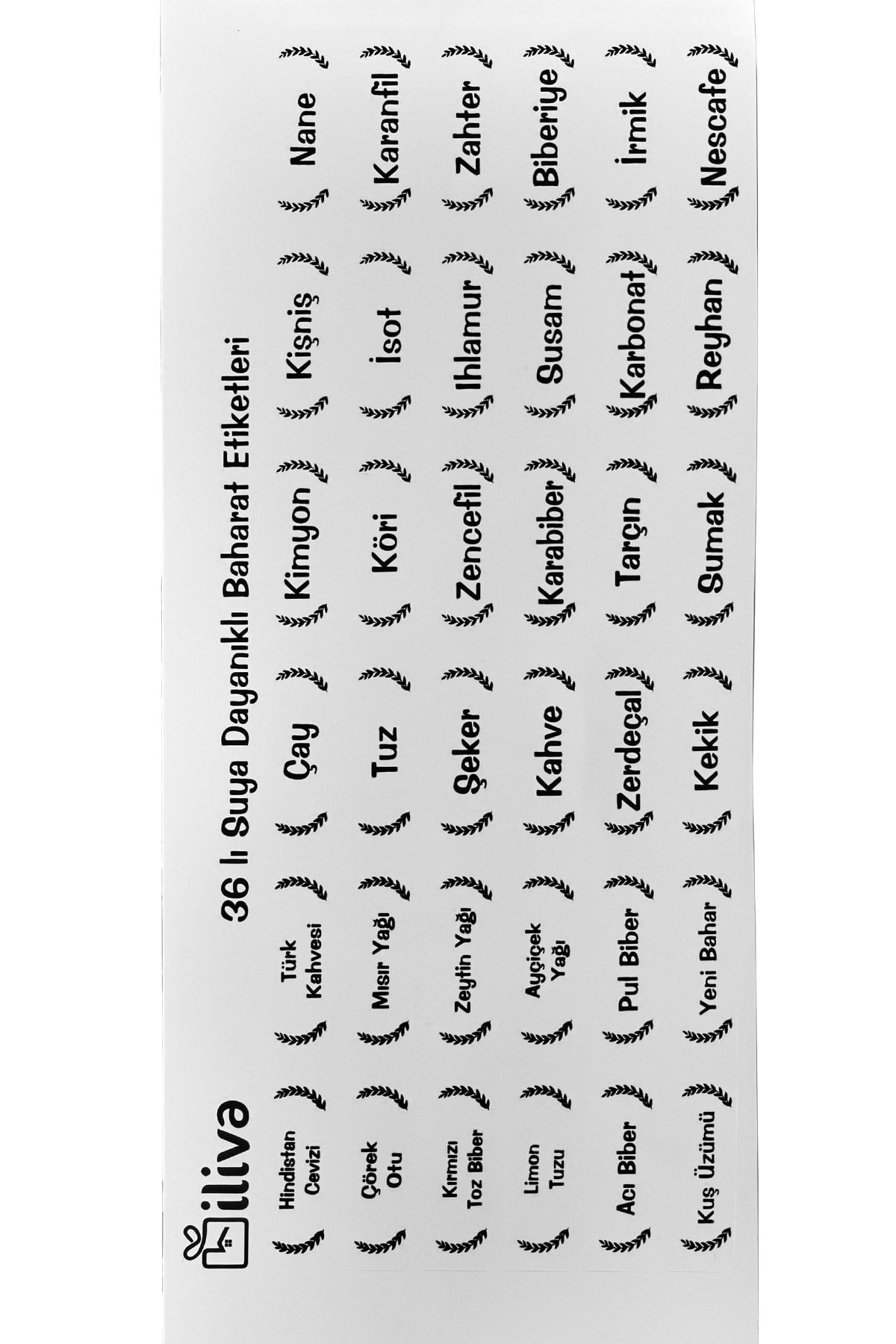 İLİVA Beyaz Baharat, Bakliyat Kavanoz Saklama Kabı Etiketi - 36 Adet Suya Dayanıklı Baharatlık Sticker