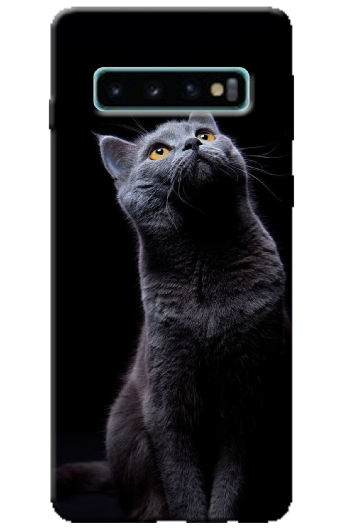 Turkiyecepaksesuar Samsung Galaxy S10 Kılıf Silikon Baskılı Desenli Arka Kapak