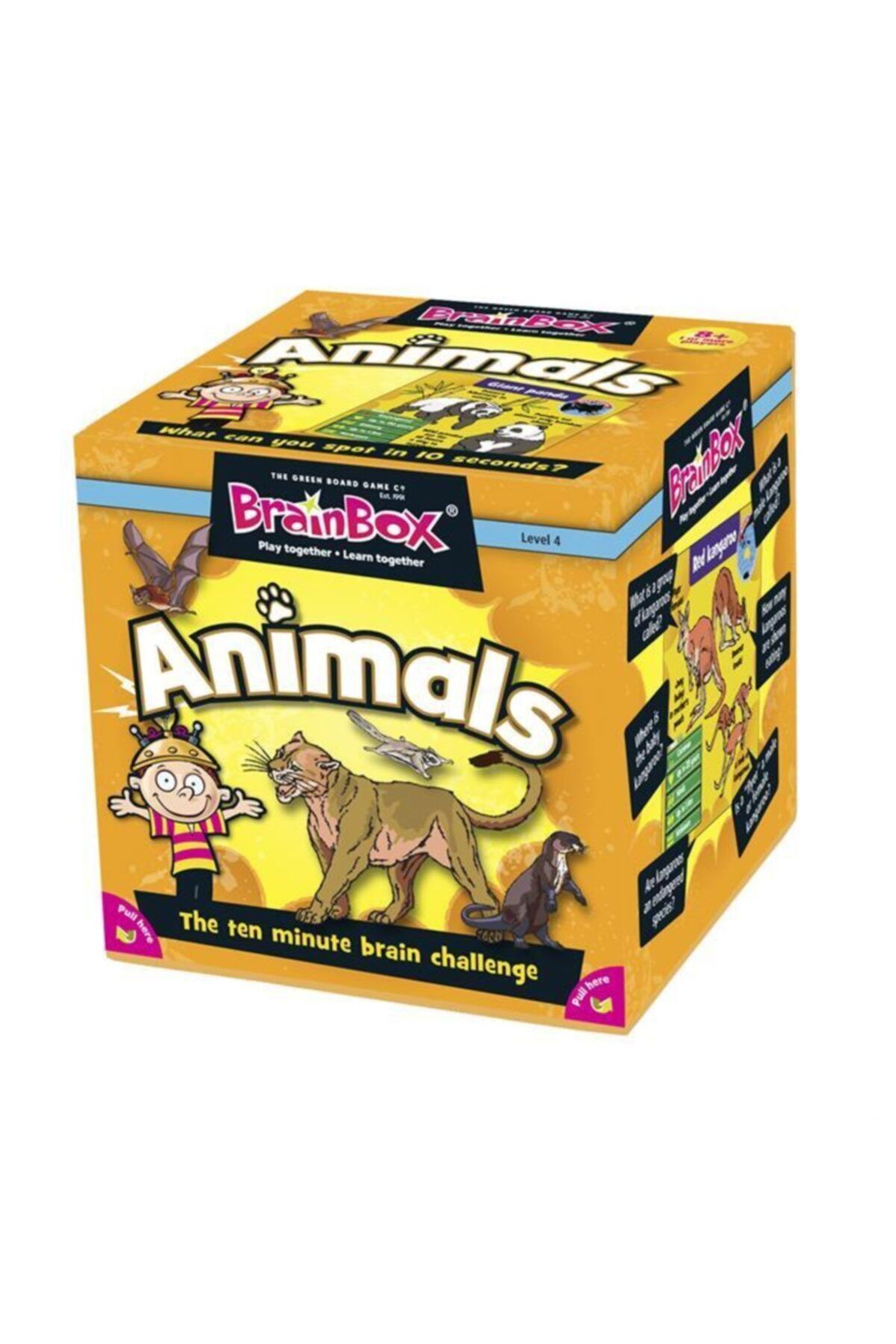 Genel Markalar Brainbox Hayvanlar Ingilizce Akıl ve Zeka Eğitici Oyun Kartları