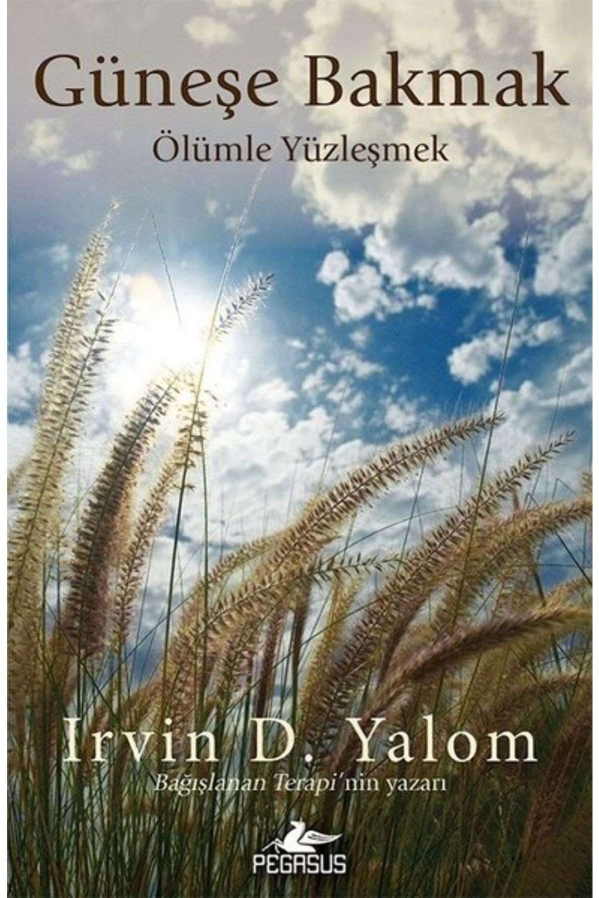 Pegasus Yayınları Güneşe Bakmak-Ölümle Yüzleşmek- Irvin D. Yalom