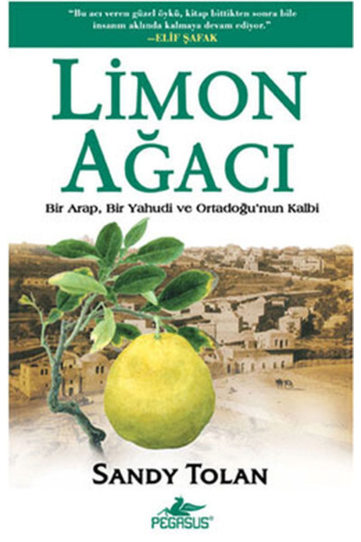 Pegasus Yayınları Limon Ağacı - Sandy Tolan