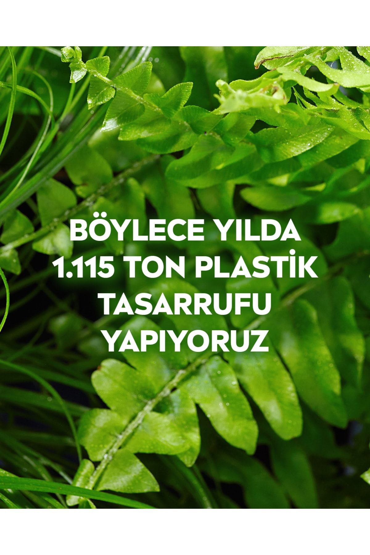 Aqua Rose Micellar Gül Suyu İçeren Çift Fazlı Makyaj Temizleme Suyu,400ml, Tüm Ciltler için_5