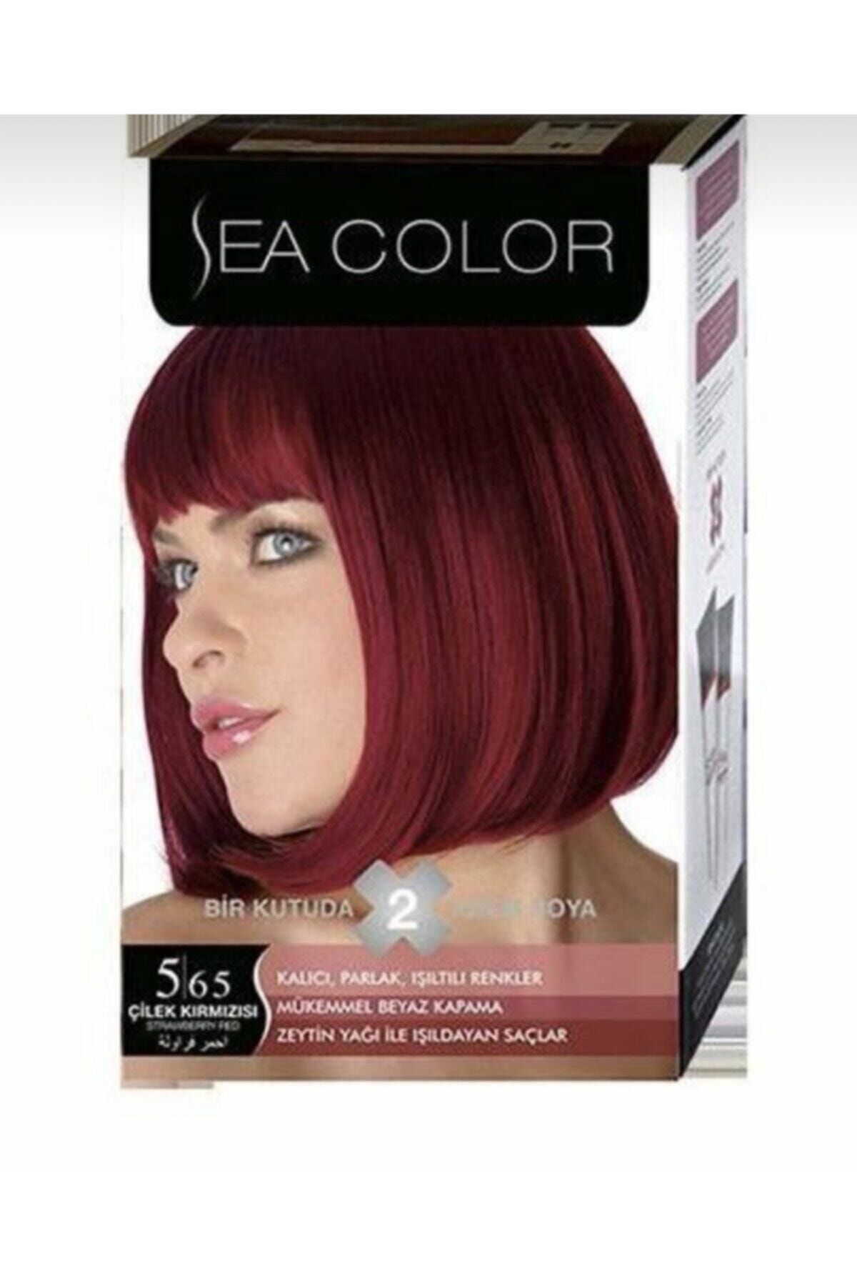 Sea Color 2 Li Saç Boyası 5.65 Çilek Kızılı 1 Kutu Içerisinde 2 Tüp Boya