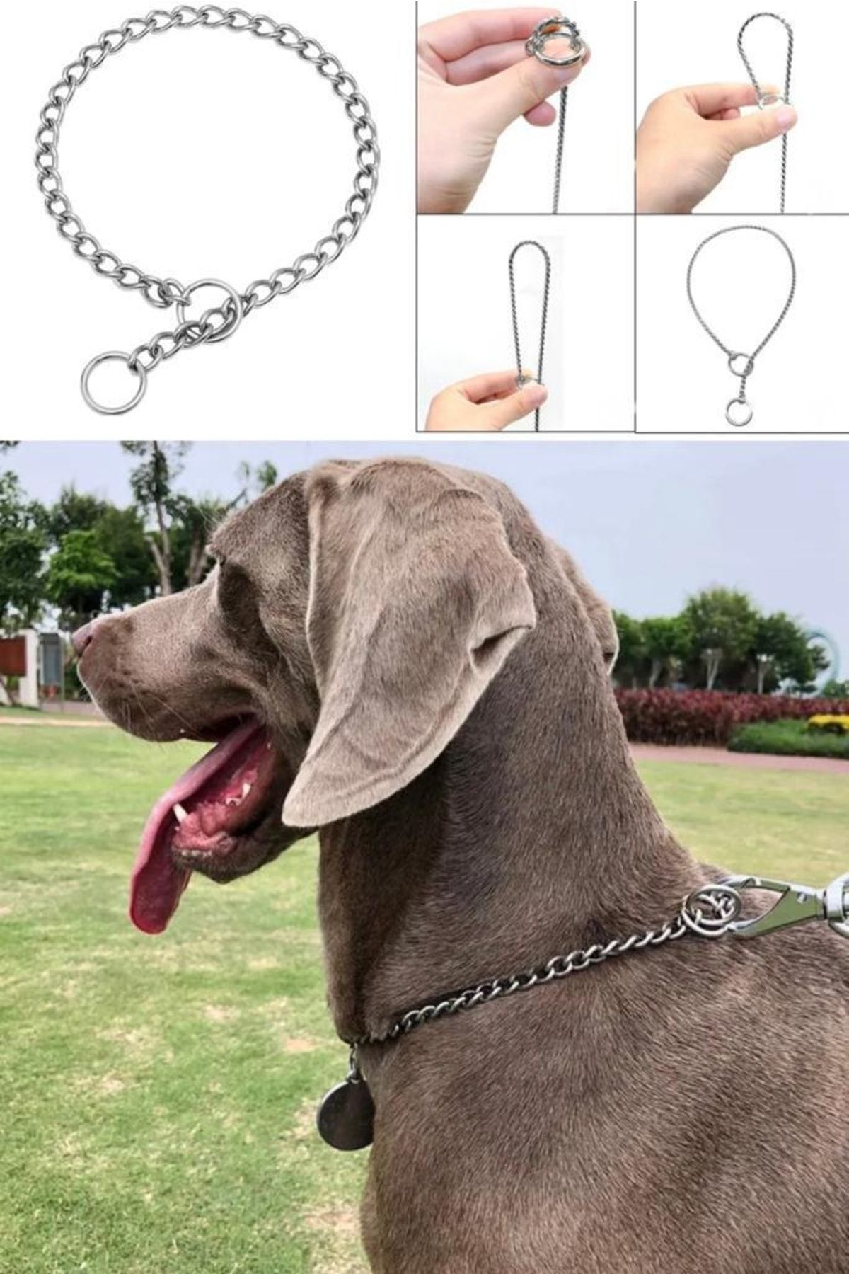 Utelips 65 Cm Dayanıklı Ve Güçlü Metal Zincir Köpek Tasmaları Eğitim Tasması Figürlü Dogo Pitbull Golden Dog