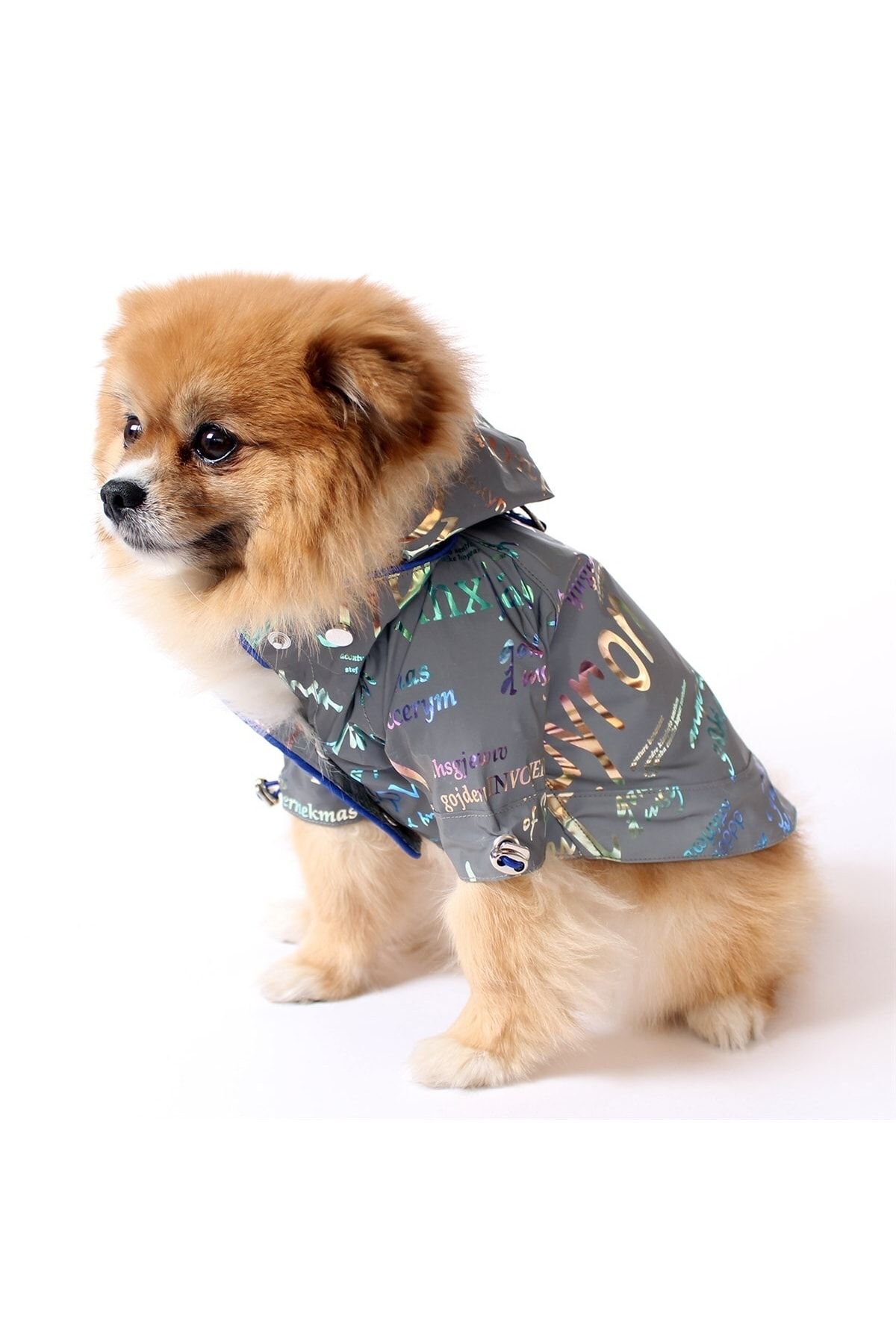MAXSTYLESPET Yazı Desenli Pet Yağmurluk - Gri - Köpek Kedi Kıyafeti