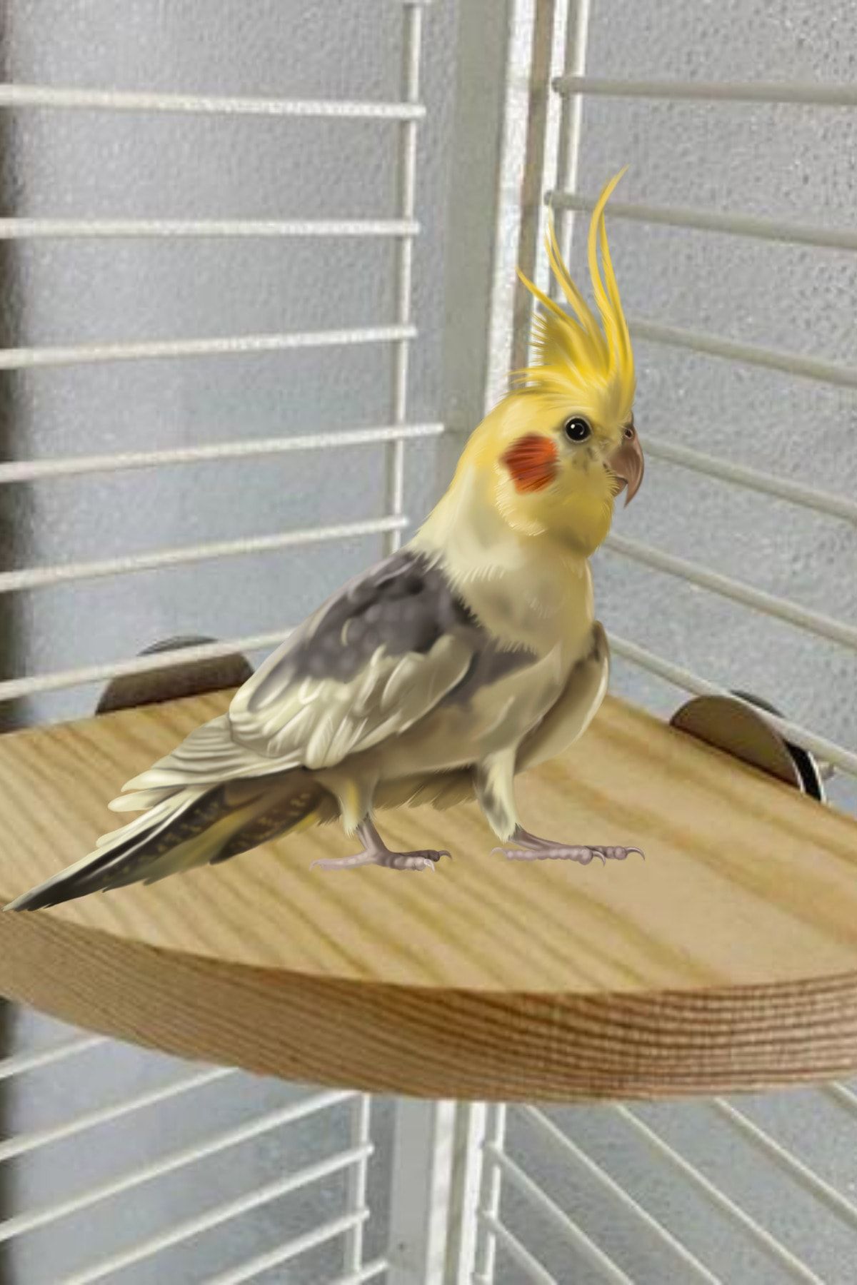 Alyones Kuş Levrek Standı Küçük Orta Papağan Sıçan Küçük Hayvan Için Kuş Kafesi Platformu