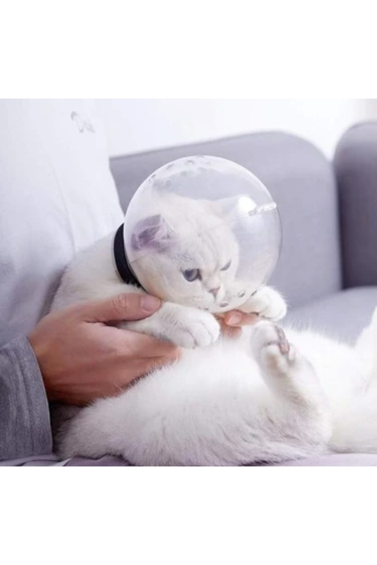 Zeynelyerebasan Kedi Namlu Anti Bite Bakım Malzemeleri