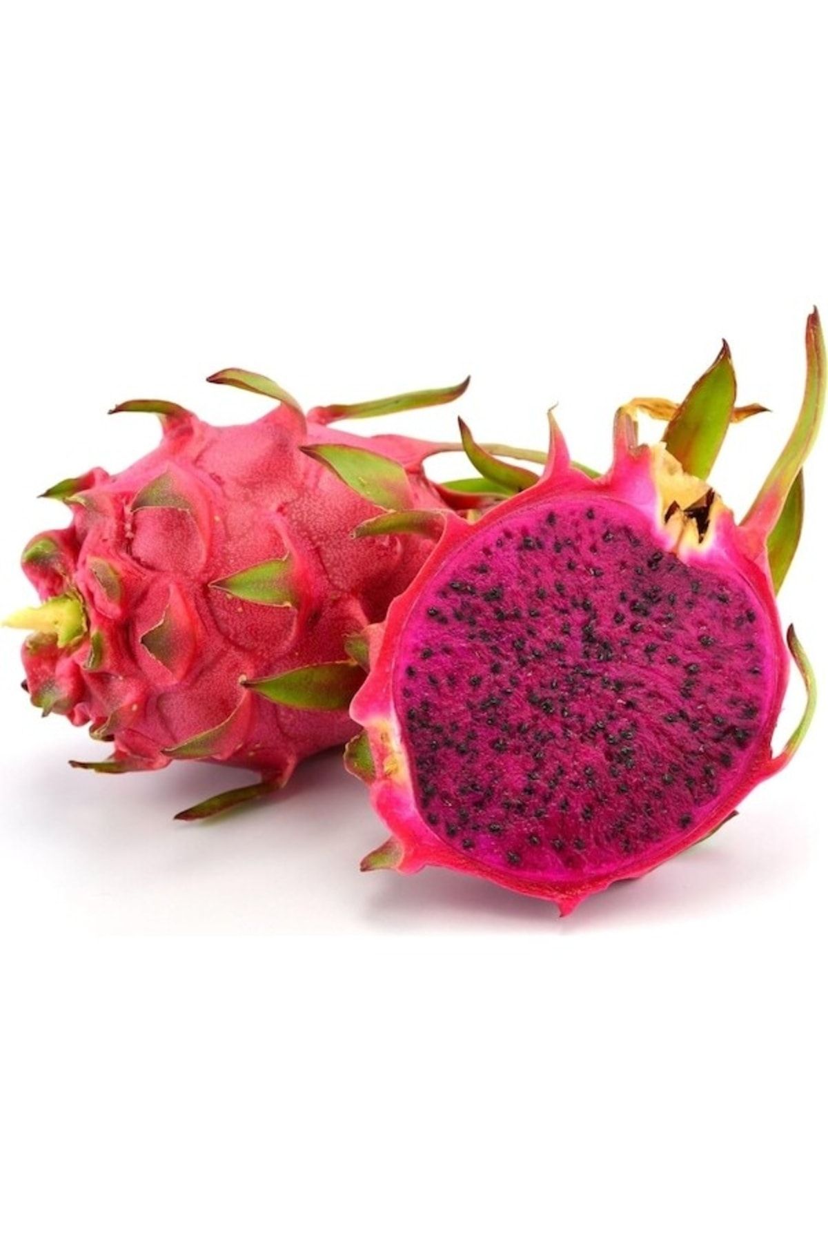 Alanya Fidan Ejder Meyvesi Fidanı Köklü (pitaya, Dragon)