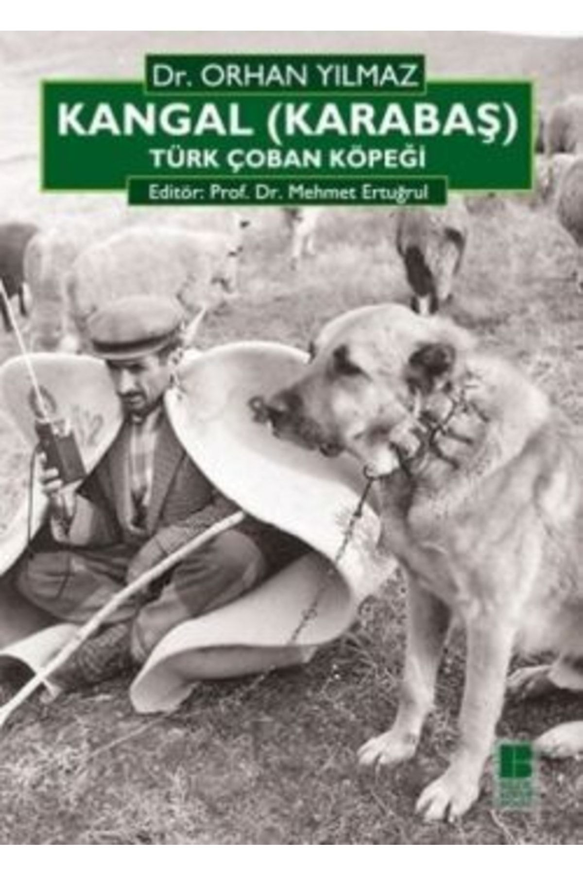 Bilge Kültür Sanat Kangal (karabaş) Türk Çoban Köpeği