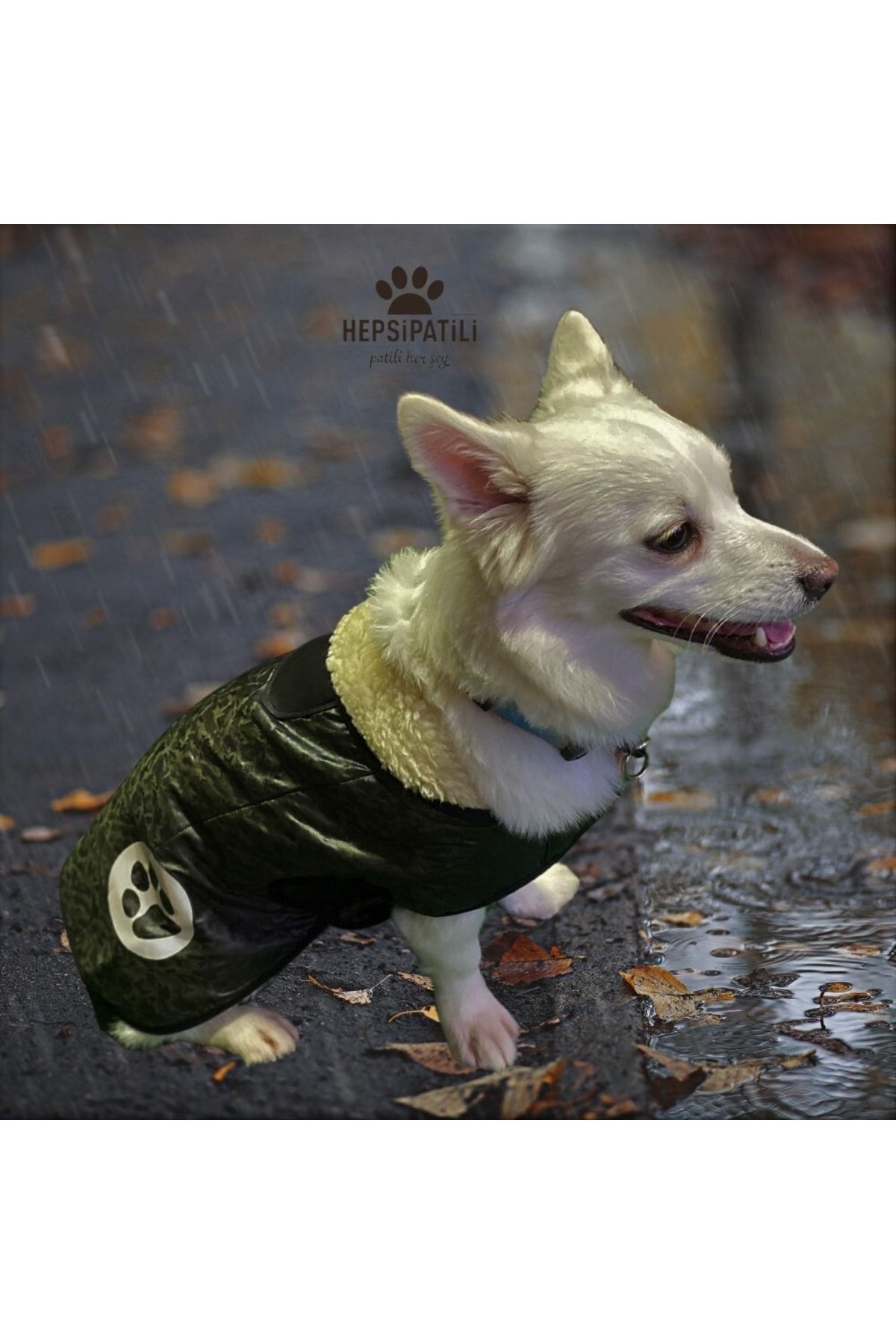 MİNİŞ PET BUTİK Pratik Giyim Reflektörlü Polarlı Küçük Köpek Yağmurluğu (4,5 Kg-14 Kg Arasına Uygun) Kamuflaj