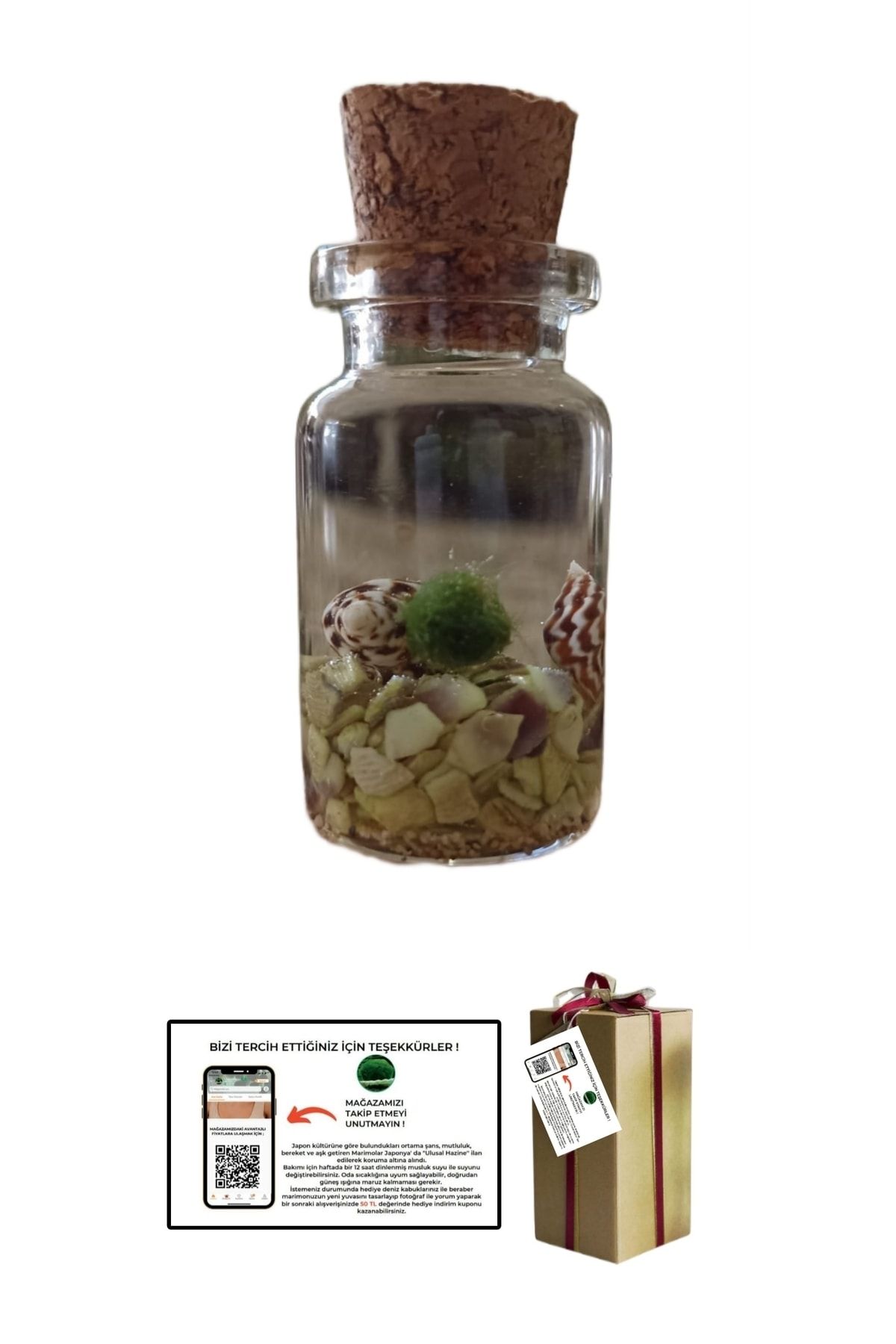 İyişans Marimo Şans Getiren Marimo Şans Yosunu Mossball Yeşil Renkli Pet Teraryumu (5*3CM)