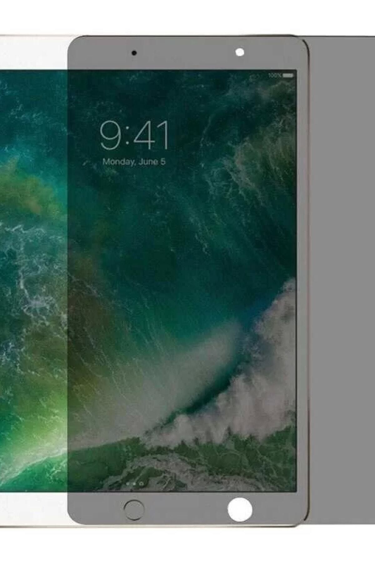 Dolia For Apple Ipad Mini 4 Tablet Privacy Temperli Cam Ekran Koruyucu